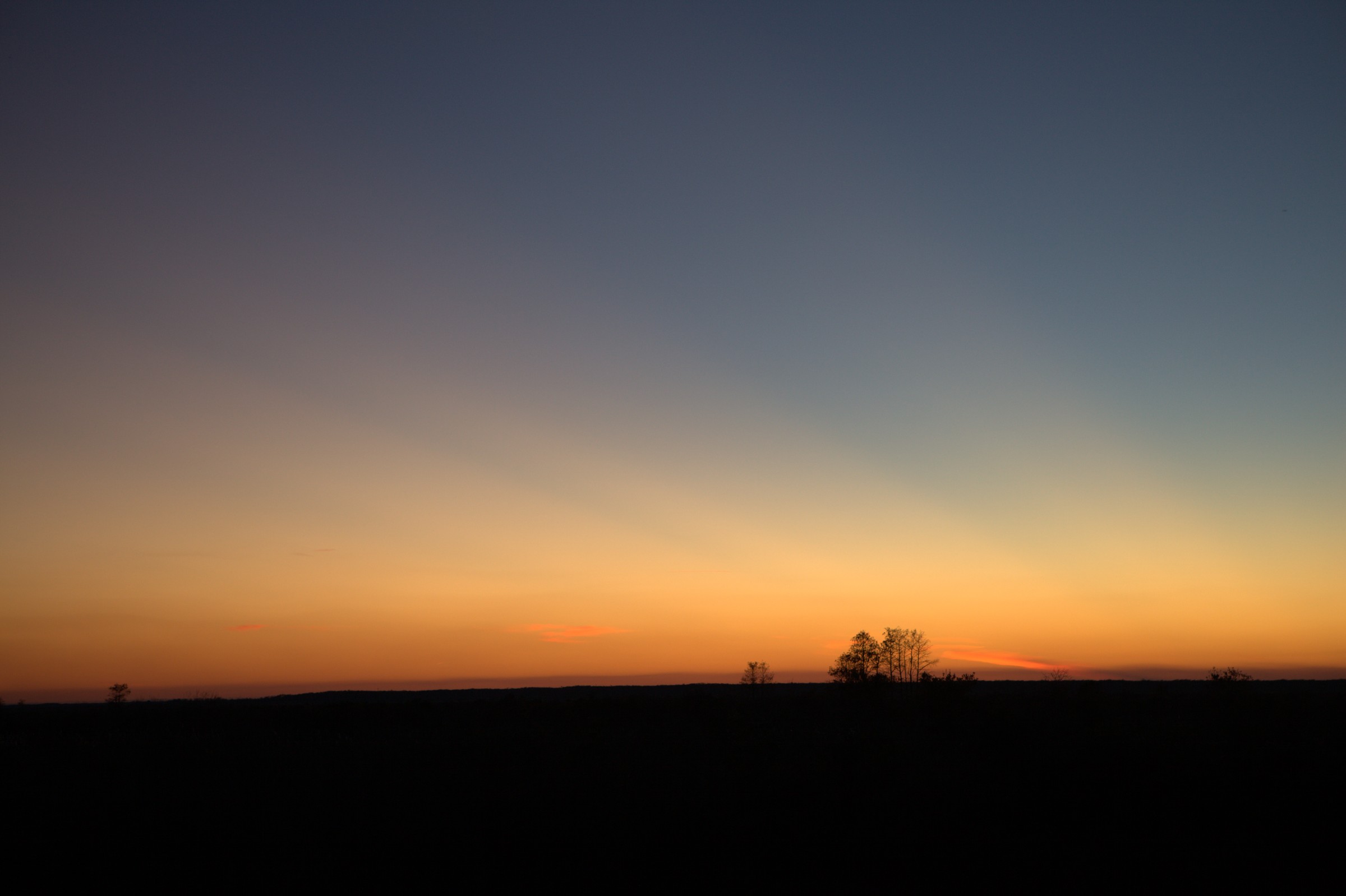 _MG_7646.CR2