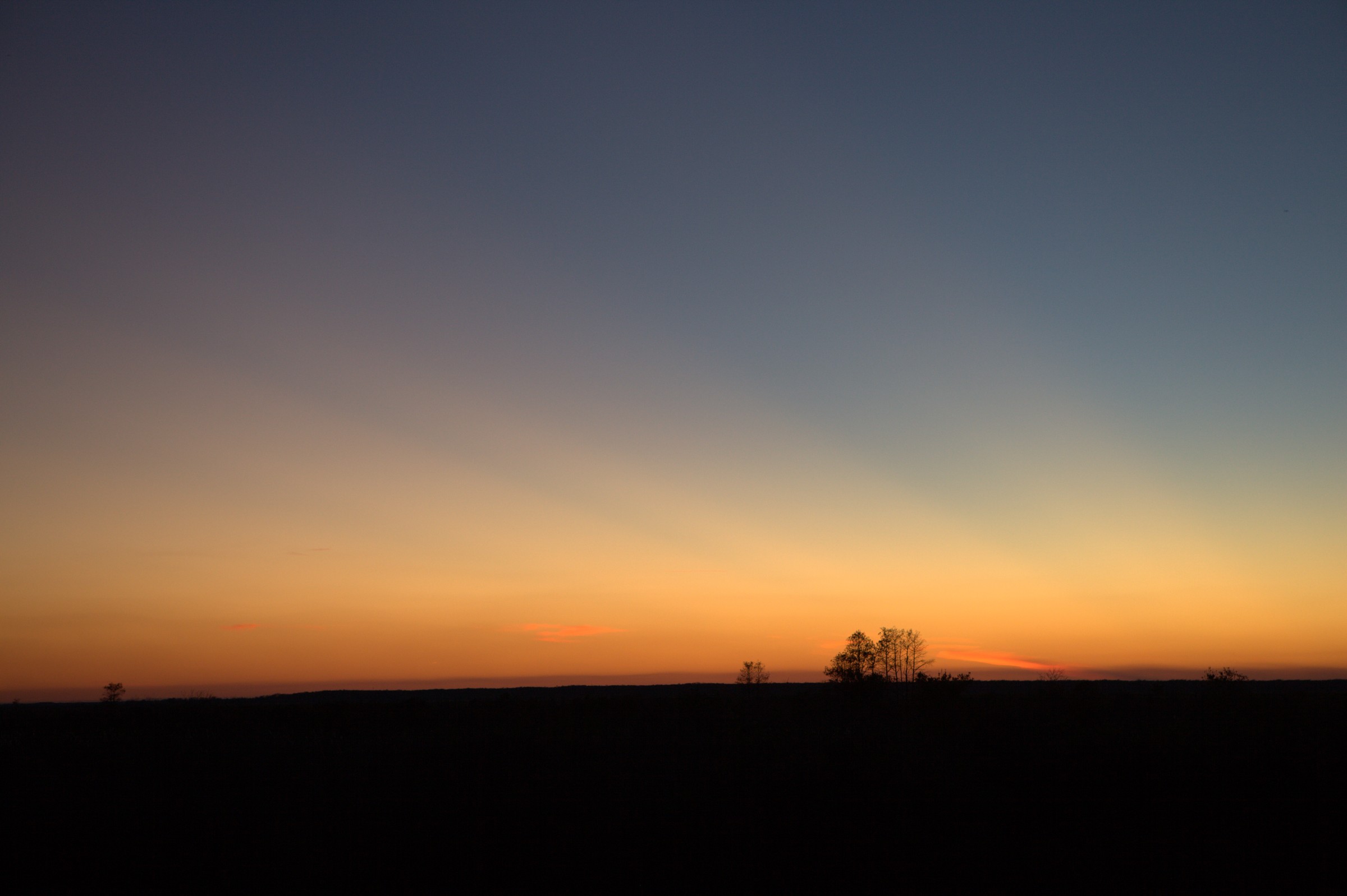_MG_7647.CR2