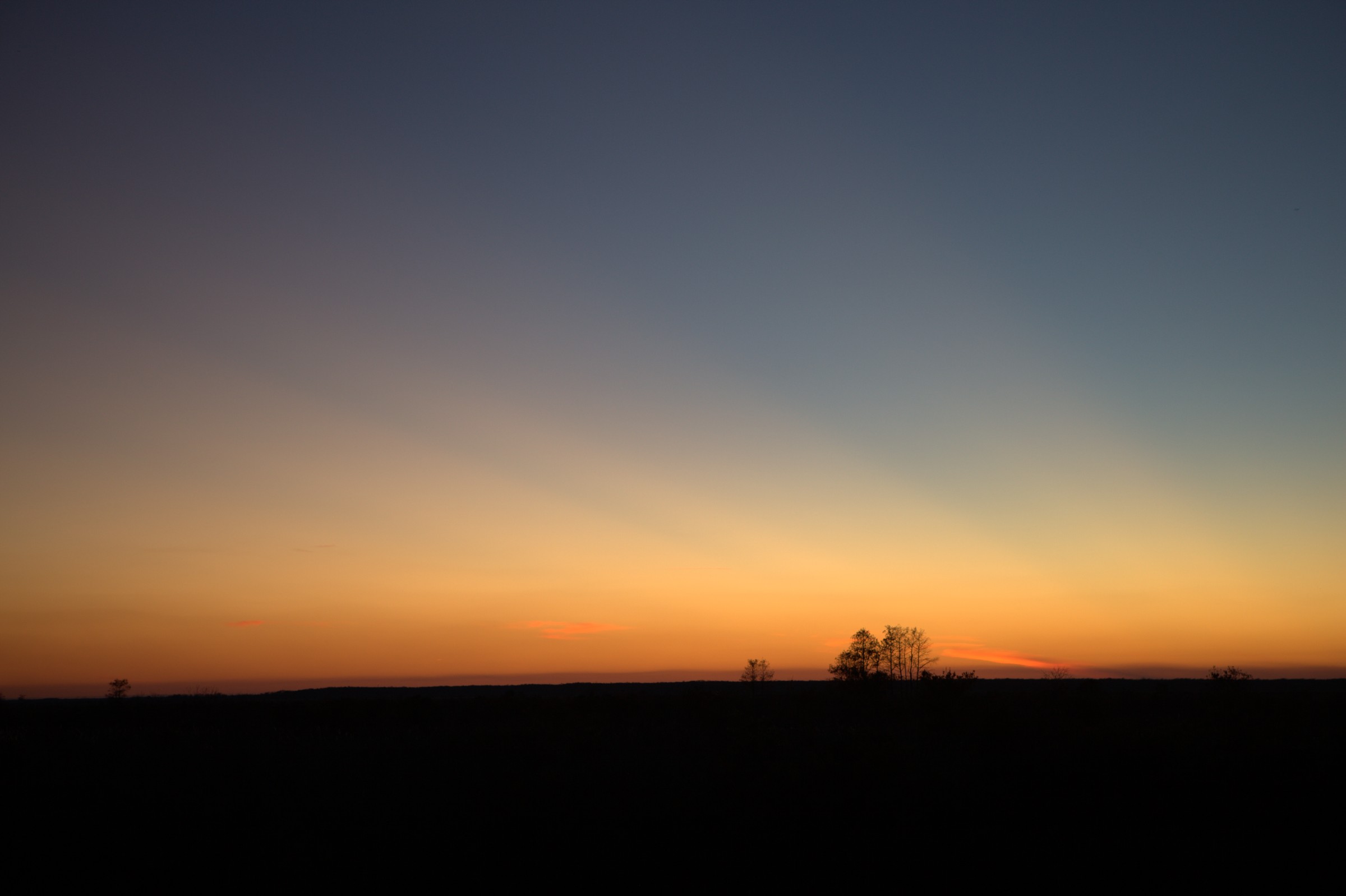 _MG_7648.CR2