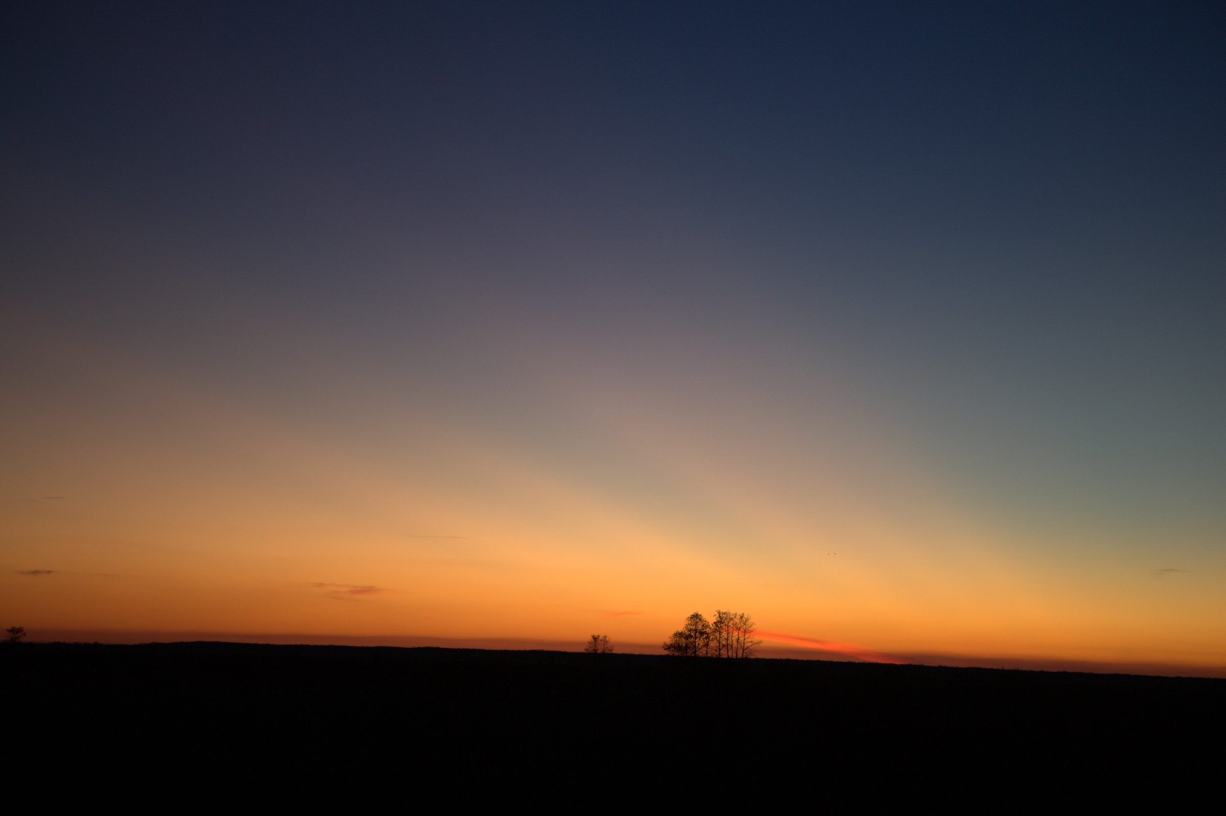_MG_7649.CR2