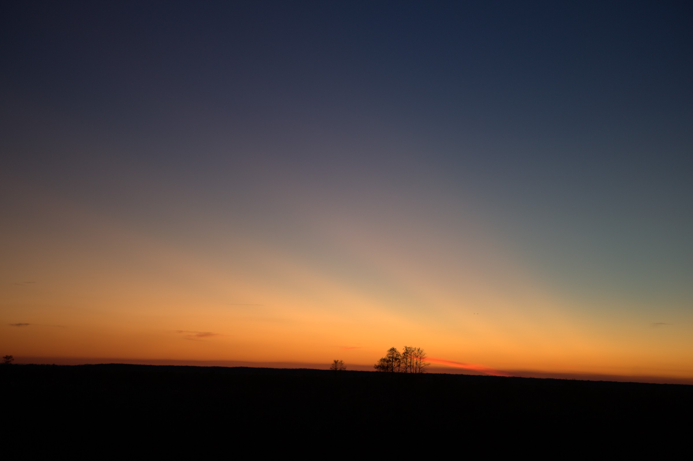 _MG_7651.CR2