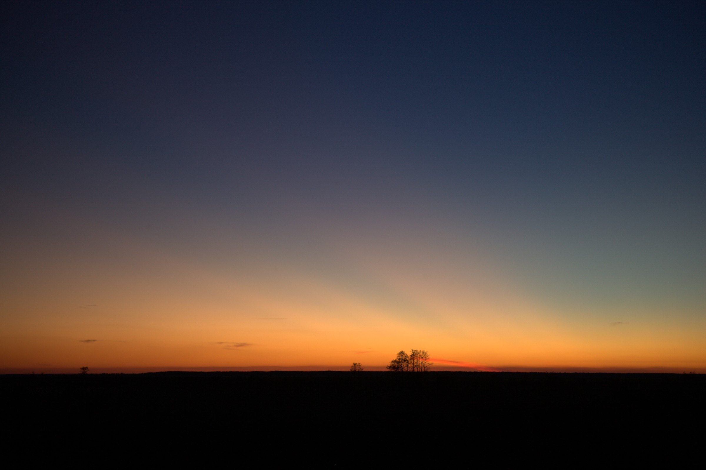 _MG_7653.CR2