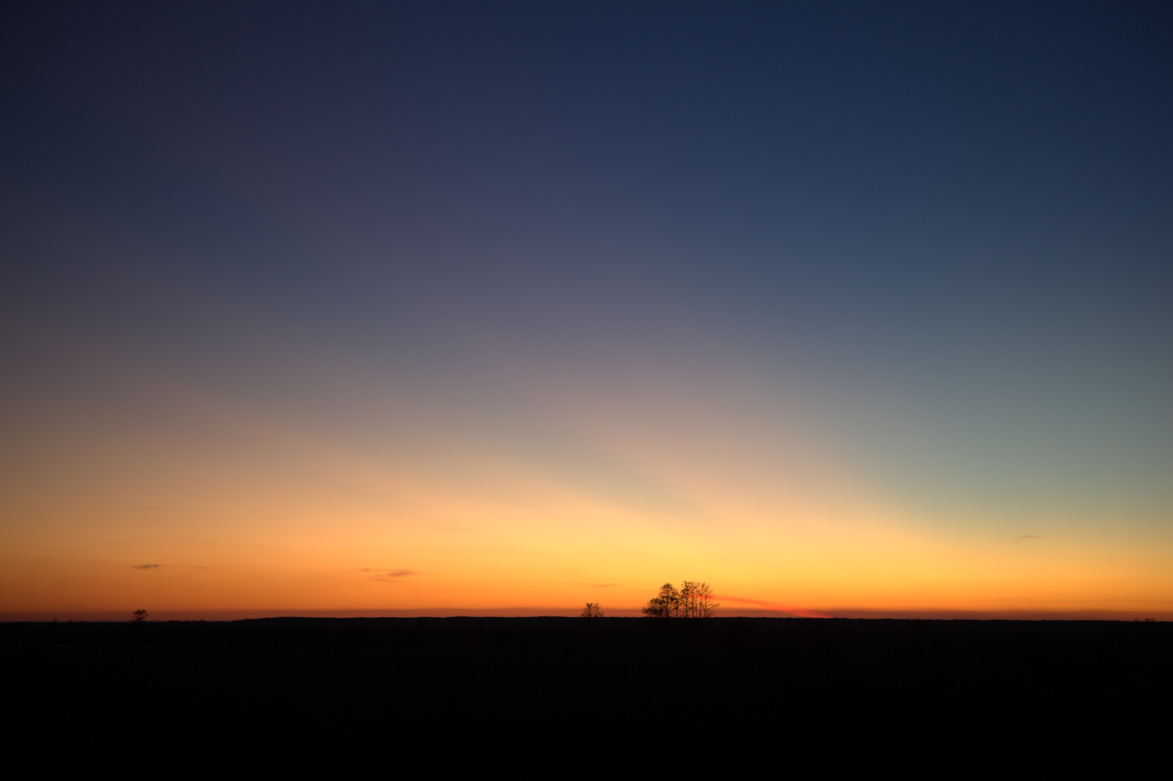_MG_7654.CR2
