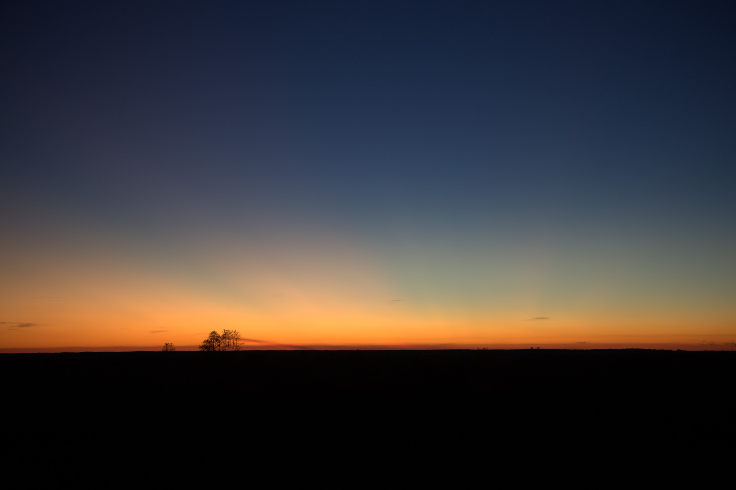 _MG_7655.CR2