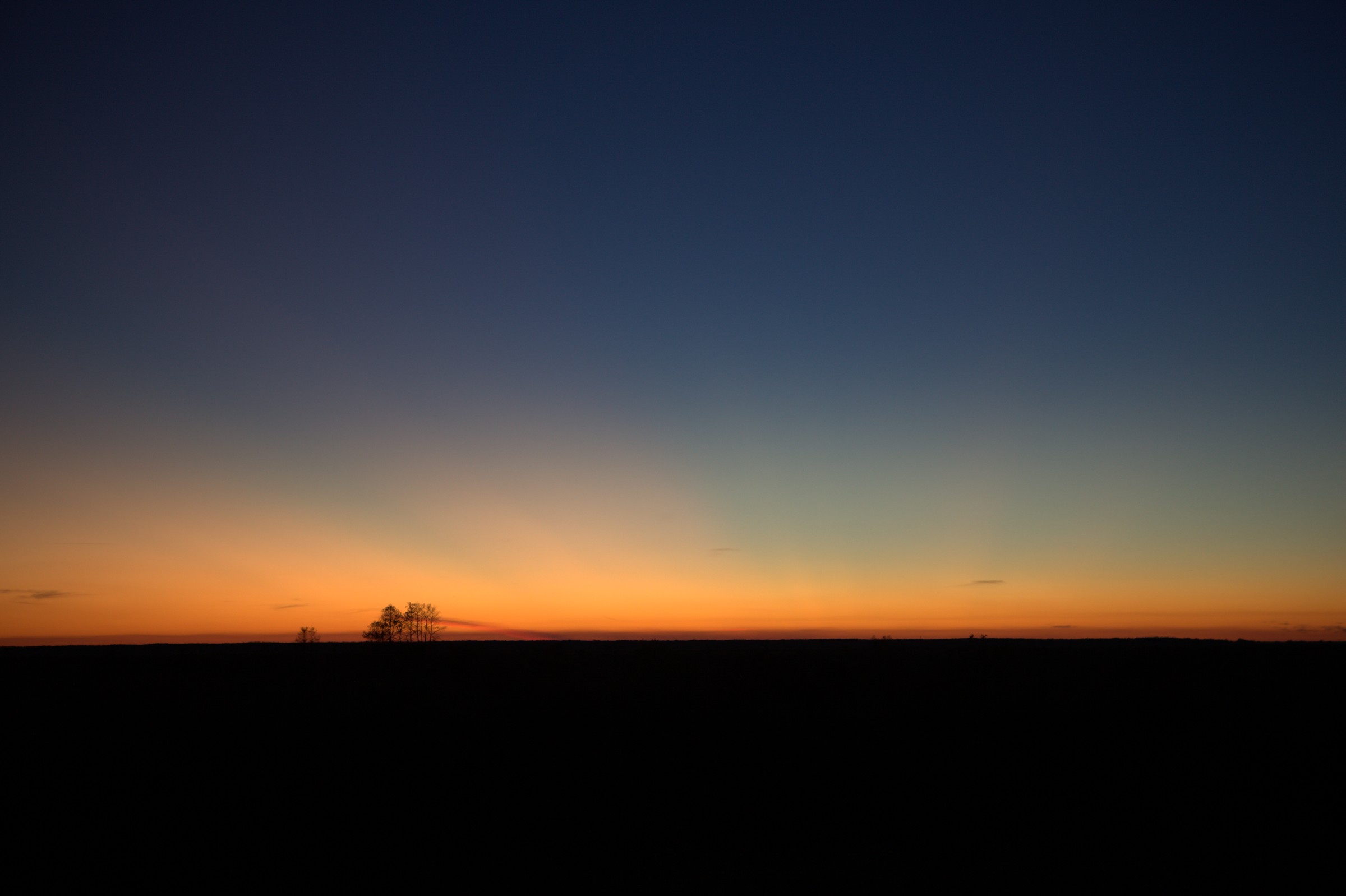 _MG_7656.CR2