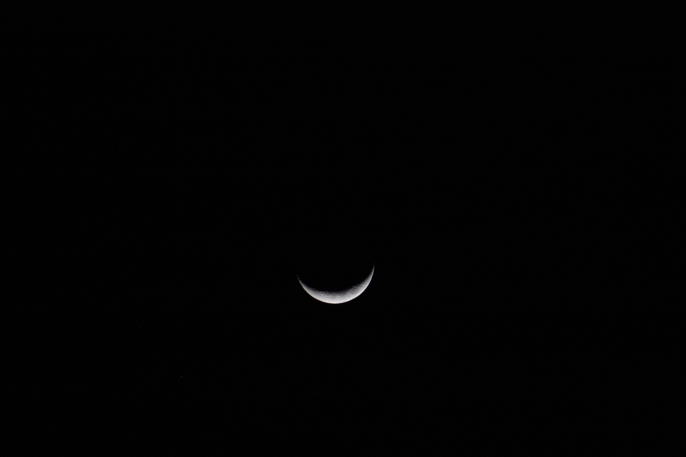 IMG_7474.JPG