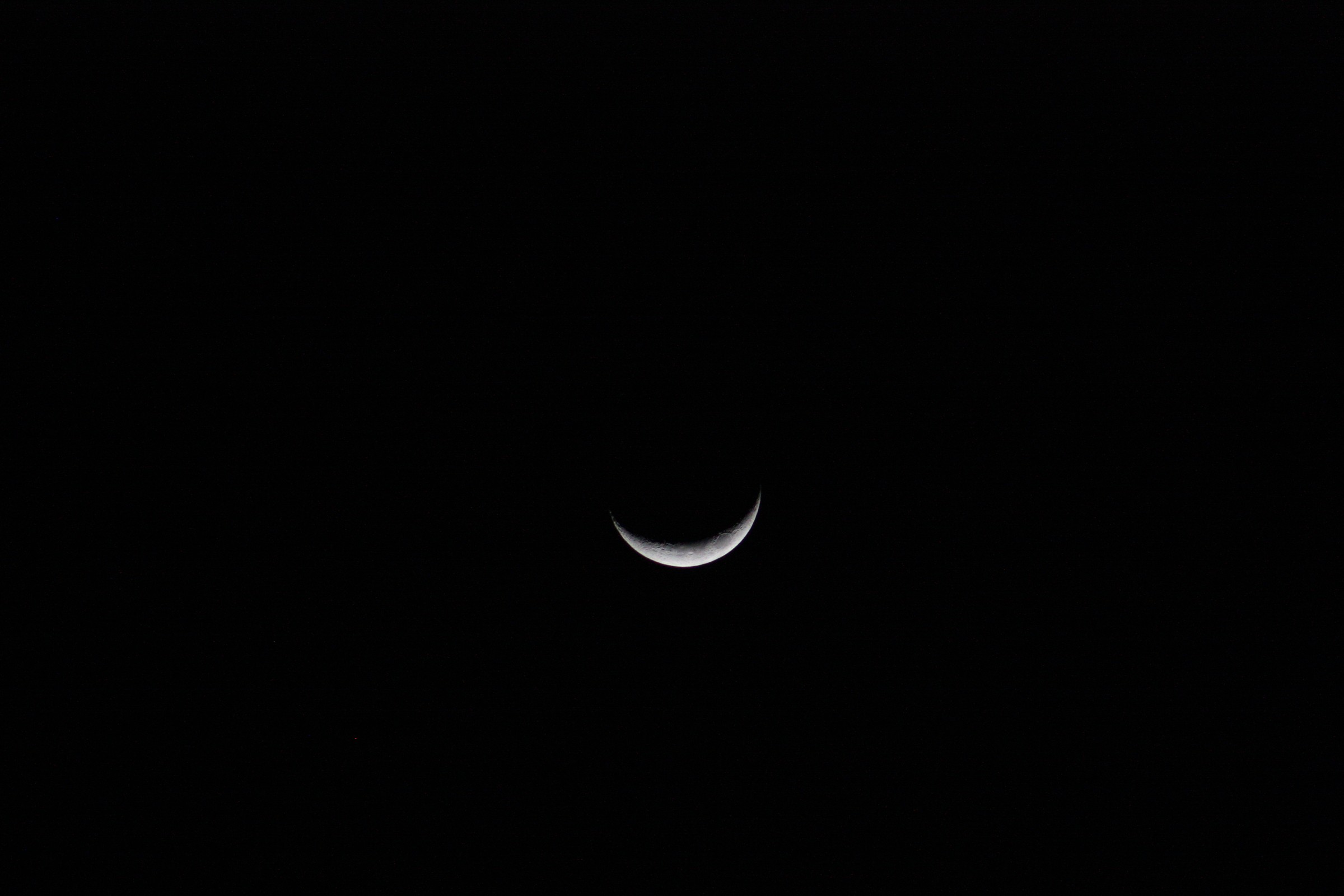 IMG_7475.JPG