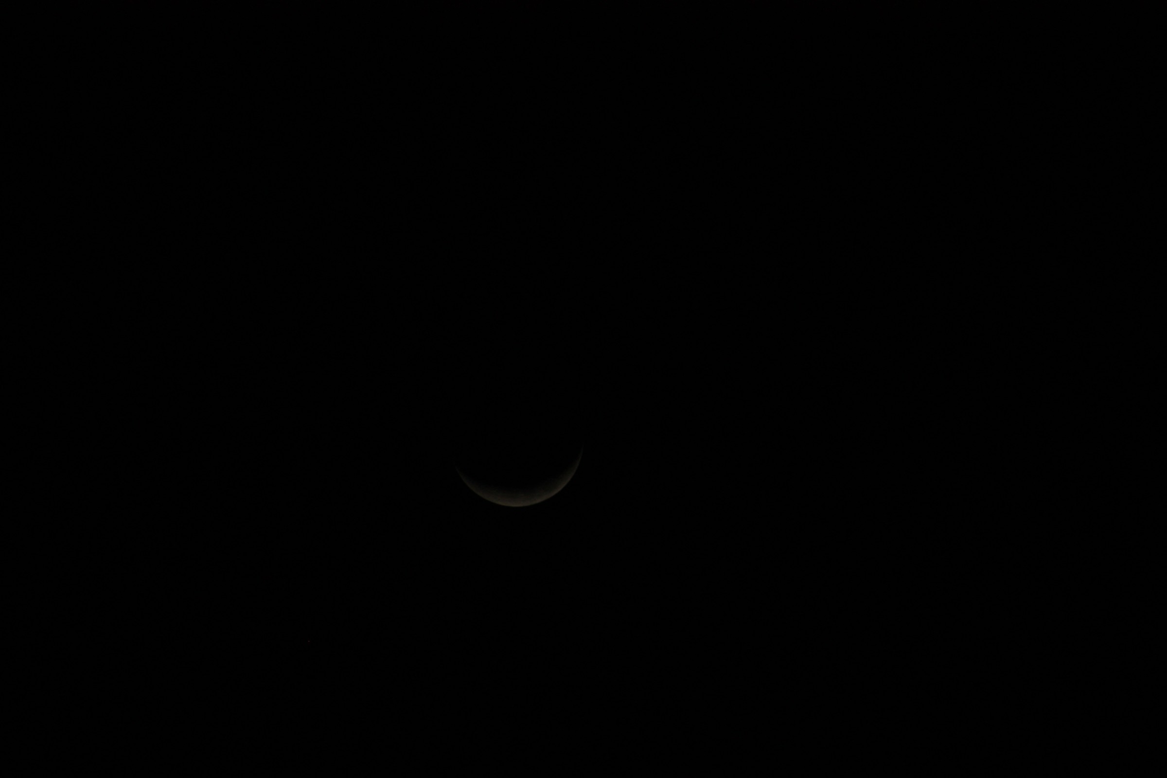 IMG_7476.JPG
