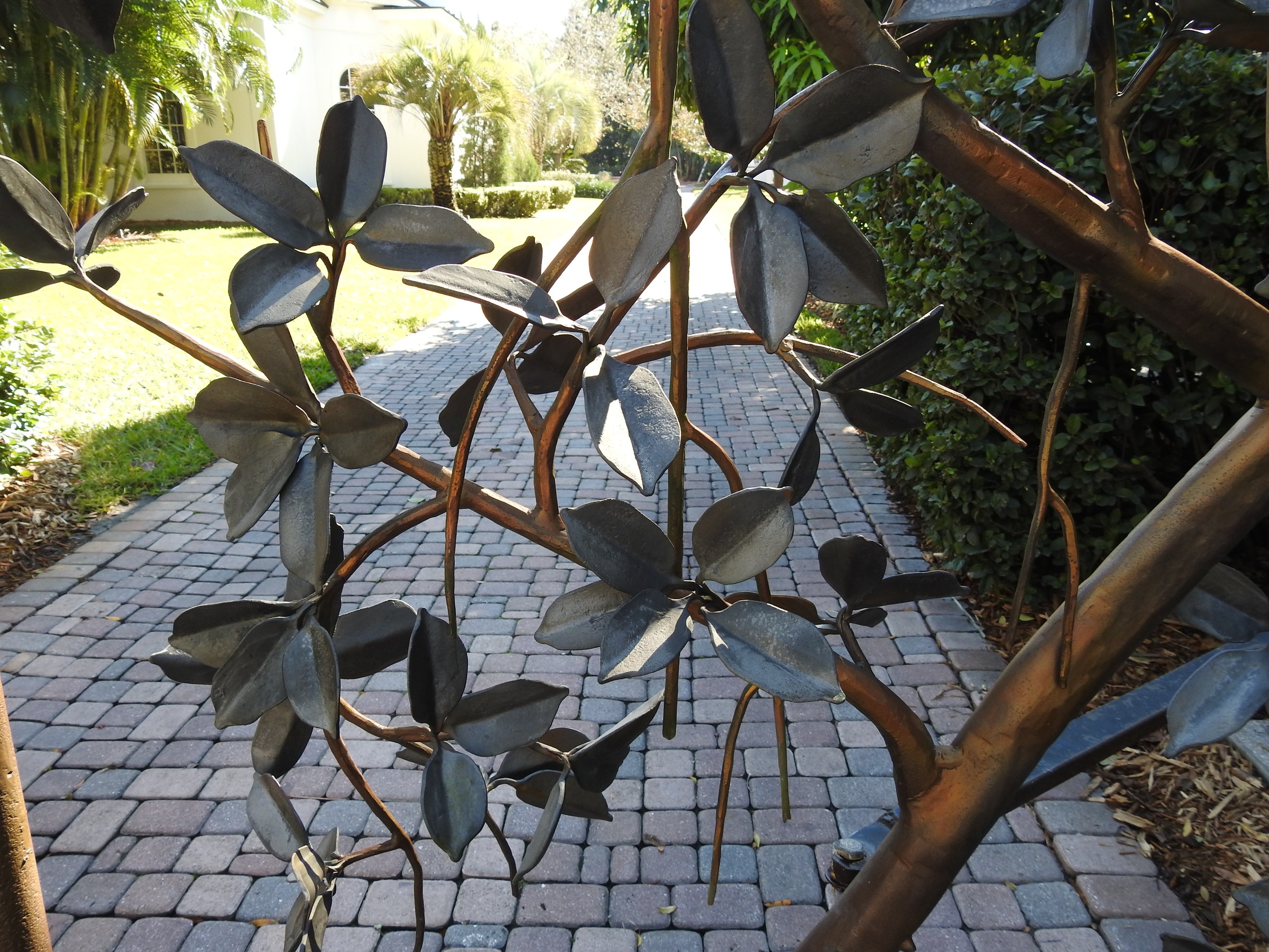 DSCN0034.JPG