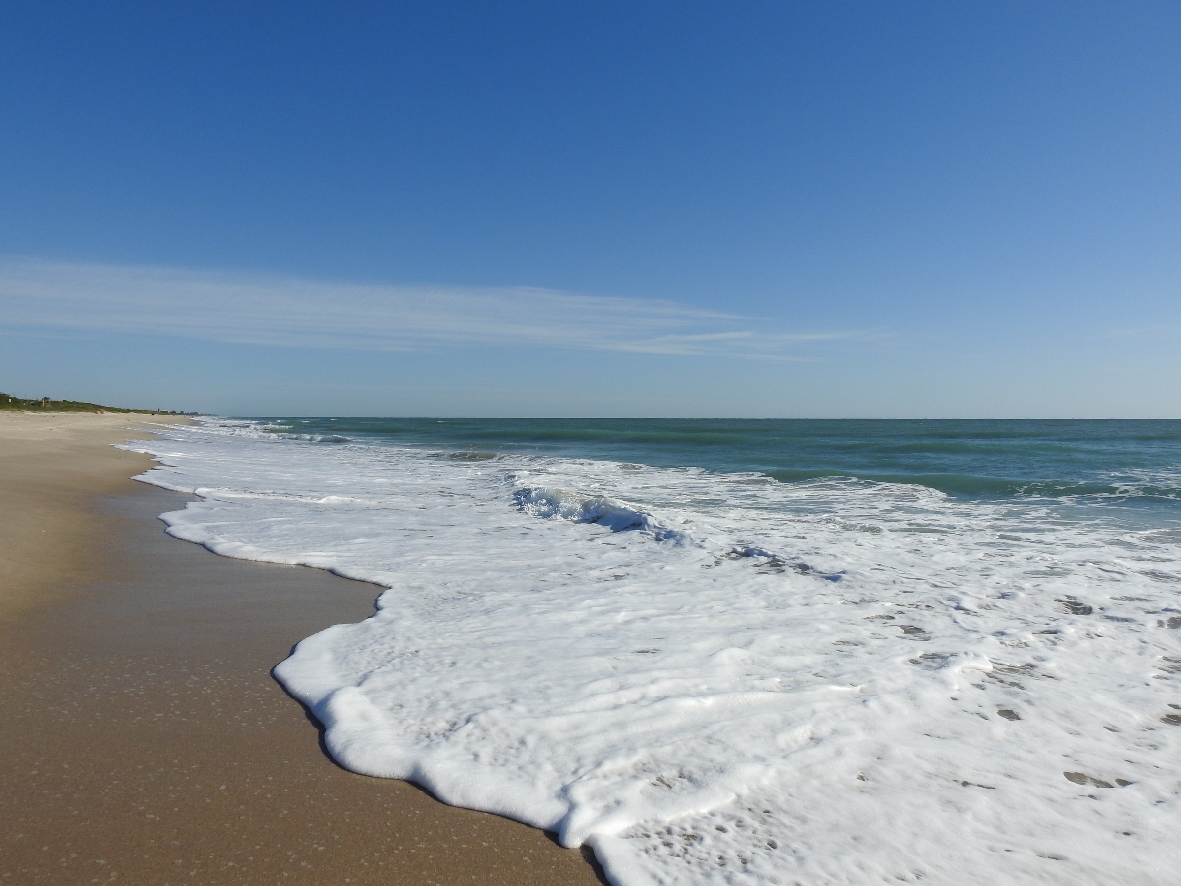 DSCN0103.JPG