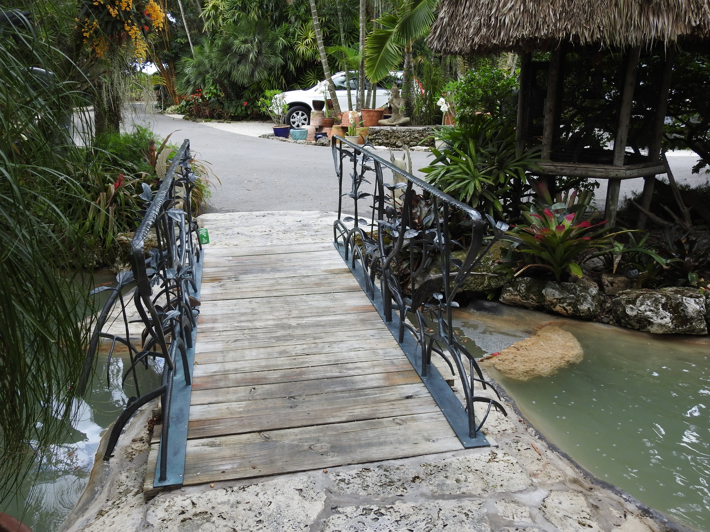 DSCN0118.JPG