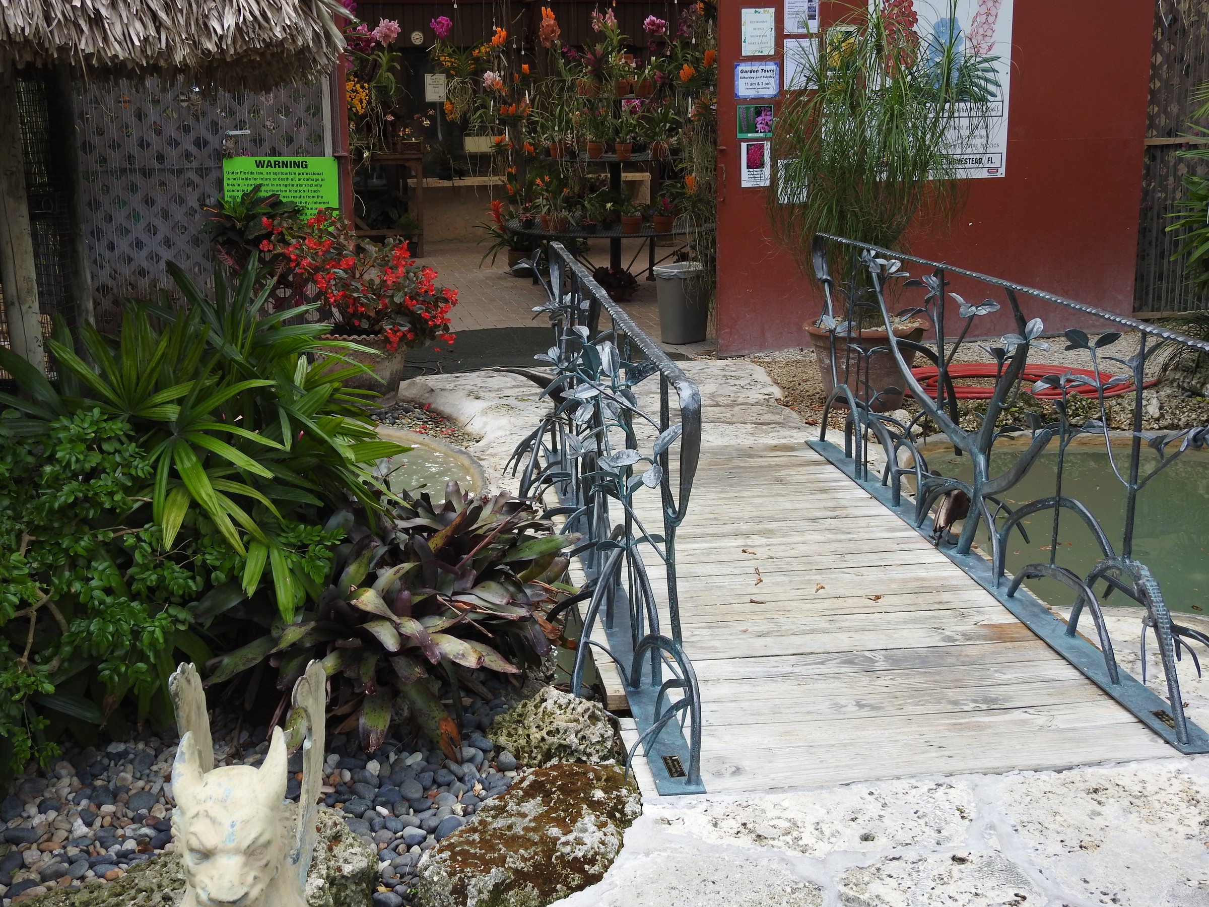 DSCN0123.JPG