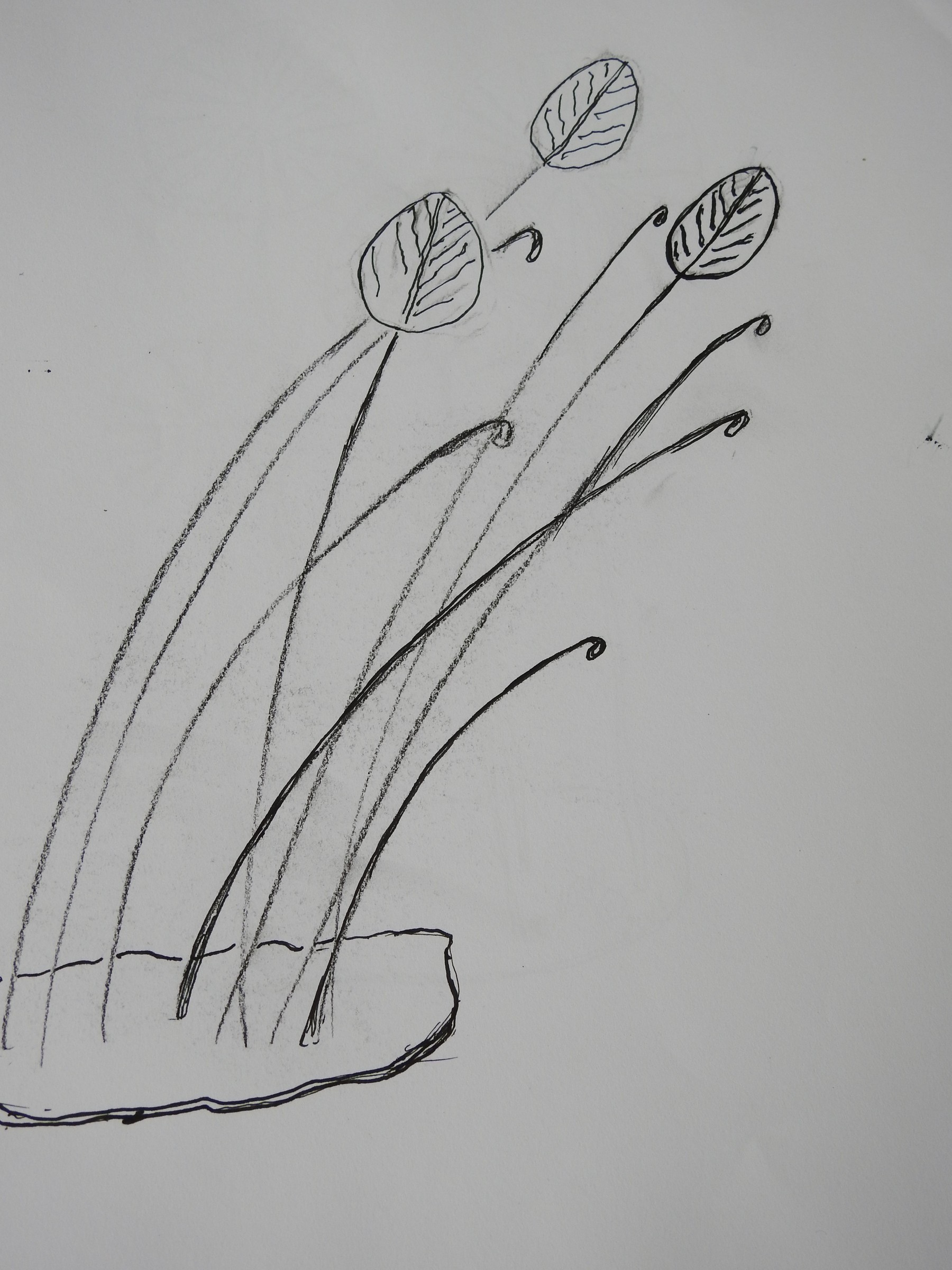 DSCN0220.JPG