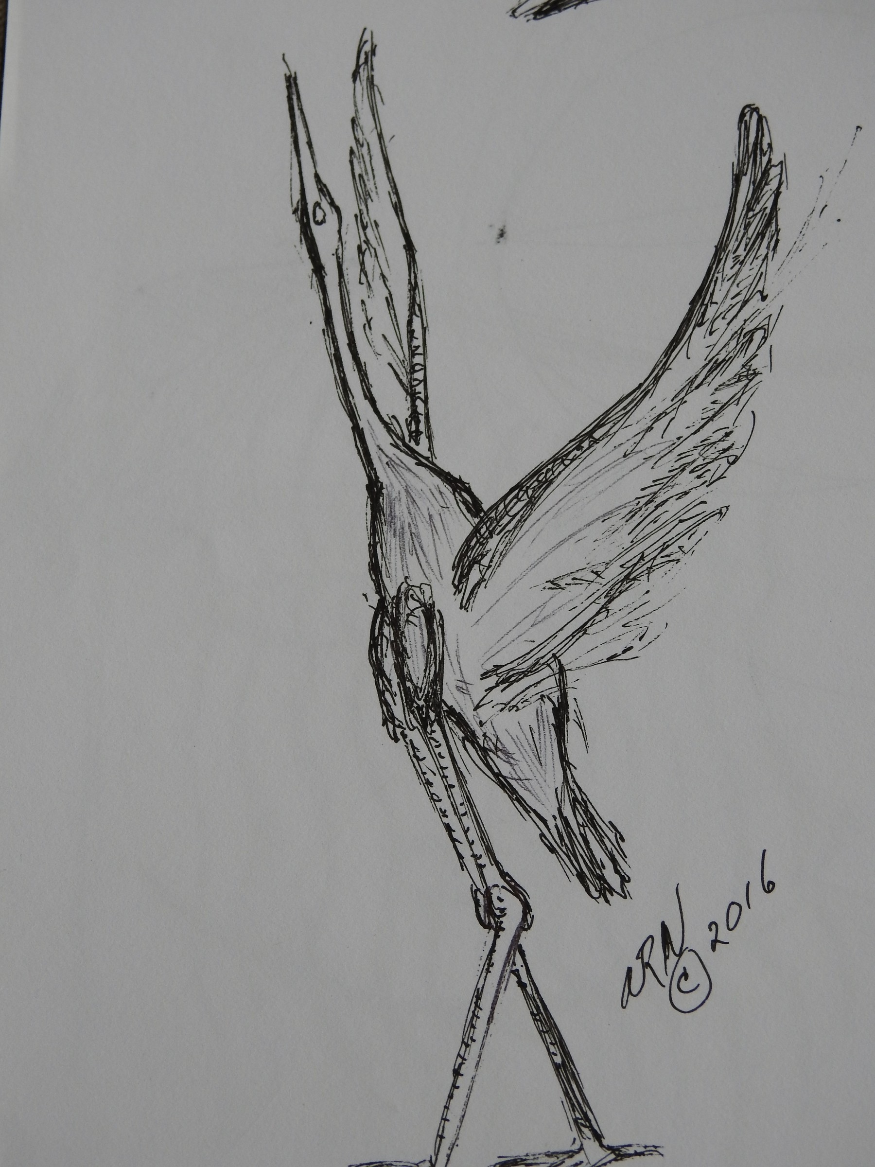 DSCN0223.JPG