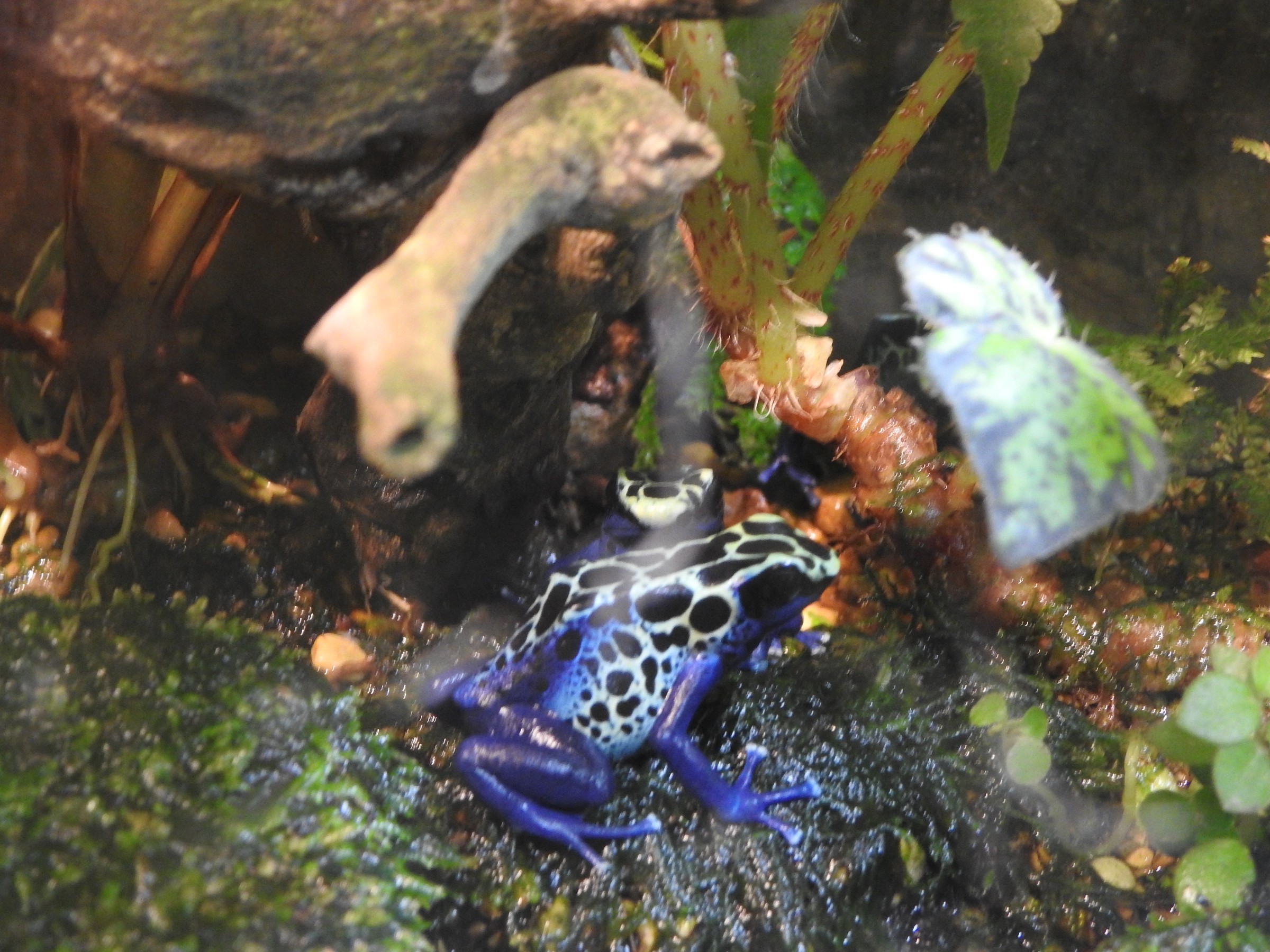 DSCN0310.JPG