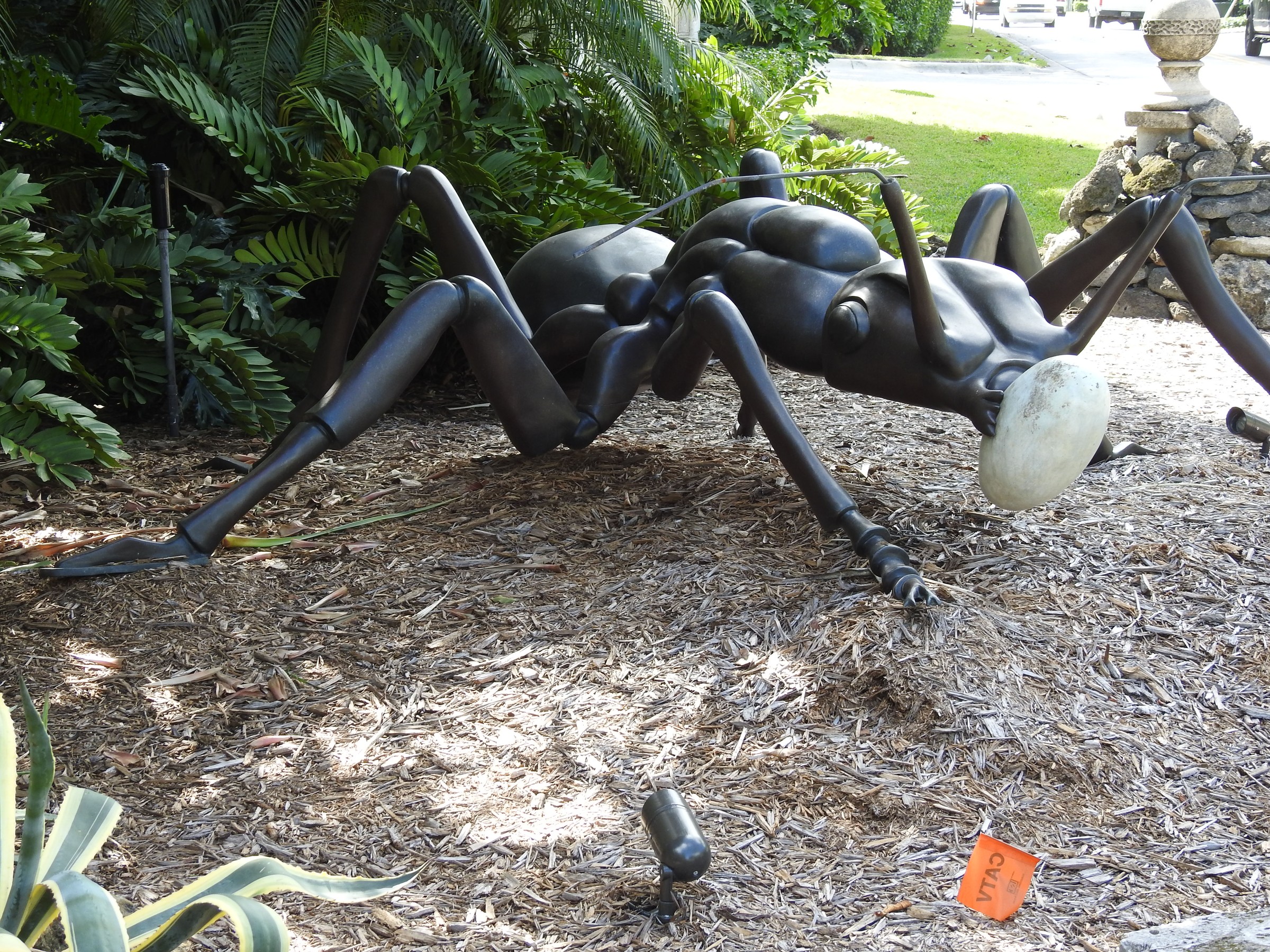 DSCN1511.JPG