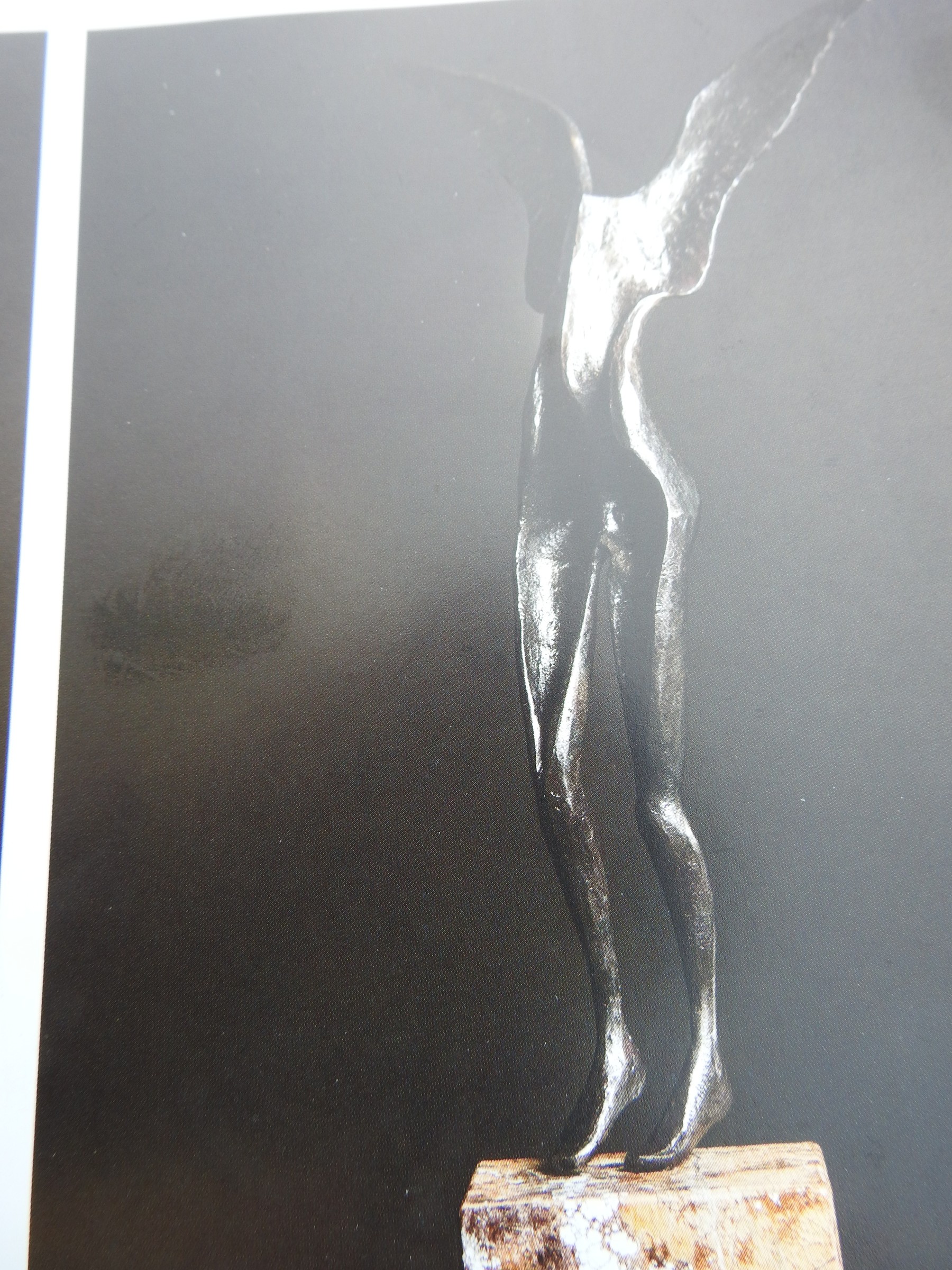 DSCN1678.JPG