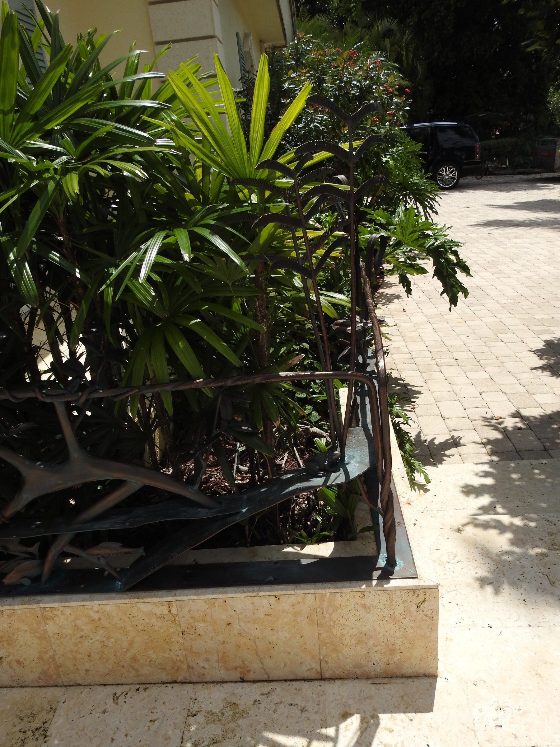 DSCN1720.JPG