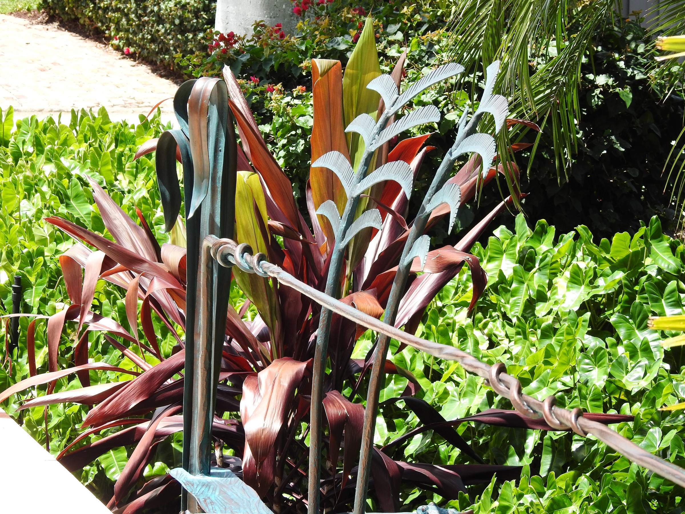 DSCN1726.JPG