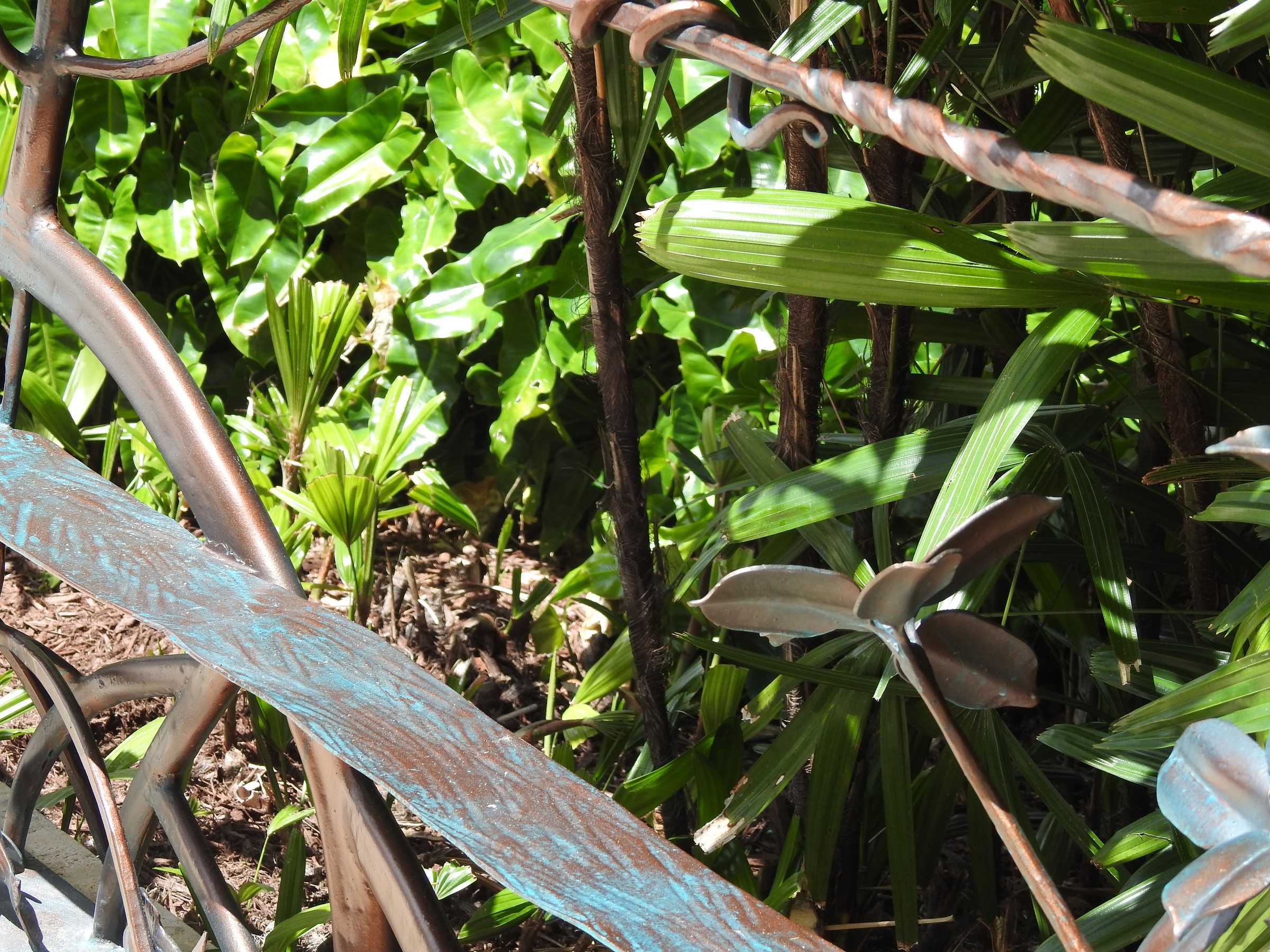DSCN1727.JPG