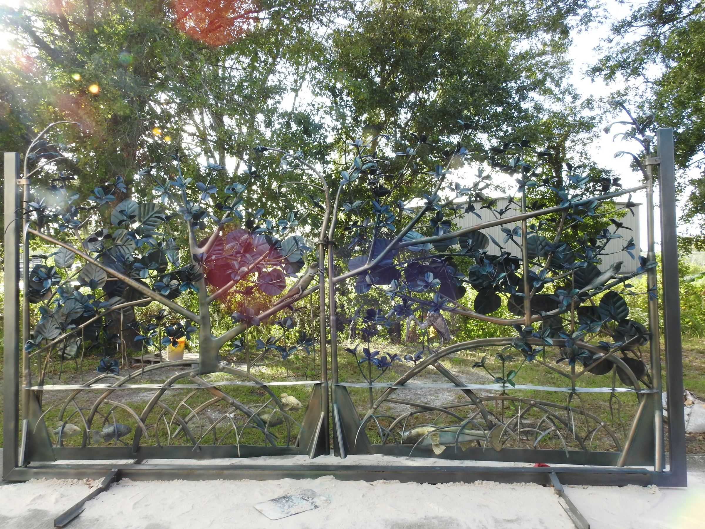 DSCN1788.JPG