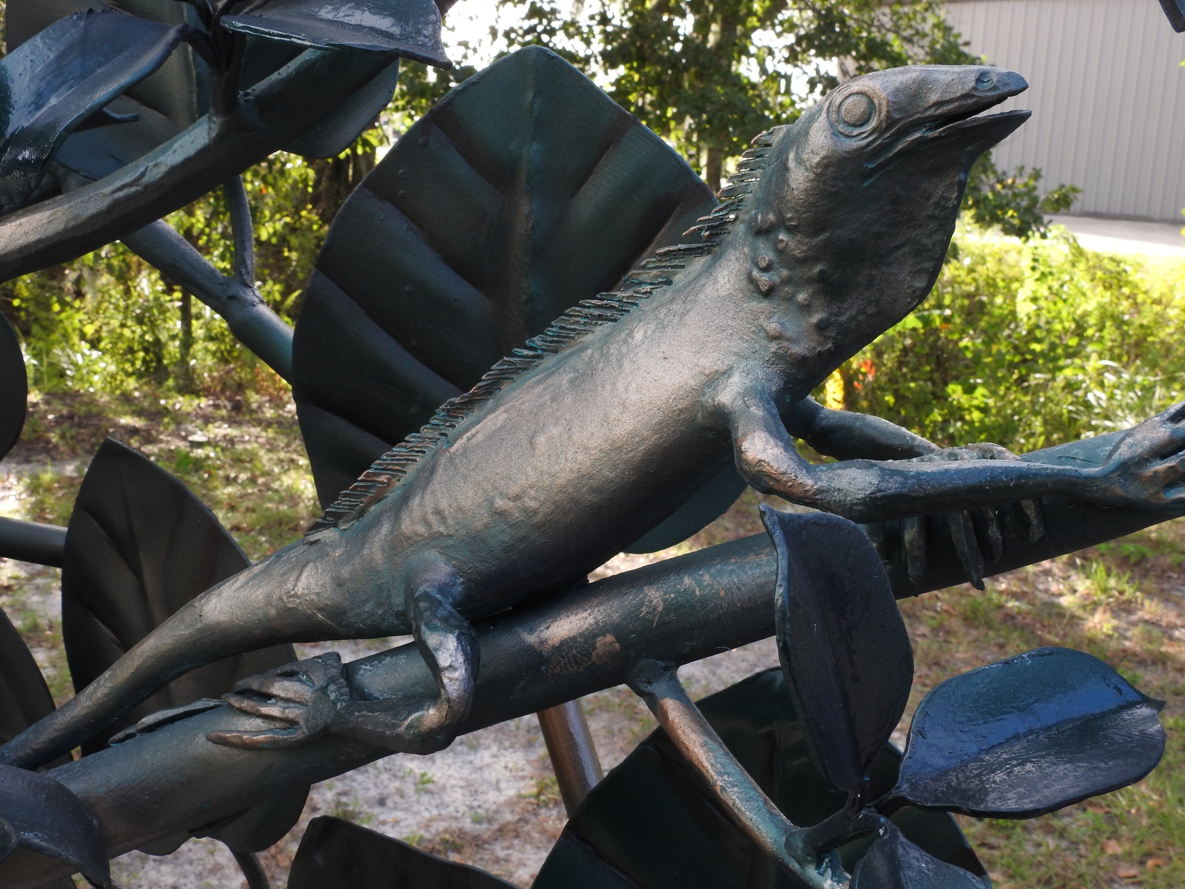 DSCN1789.JPG
