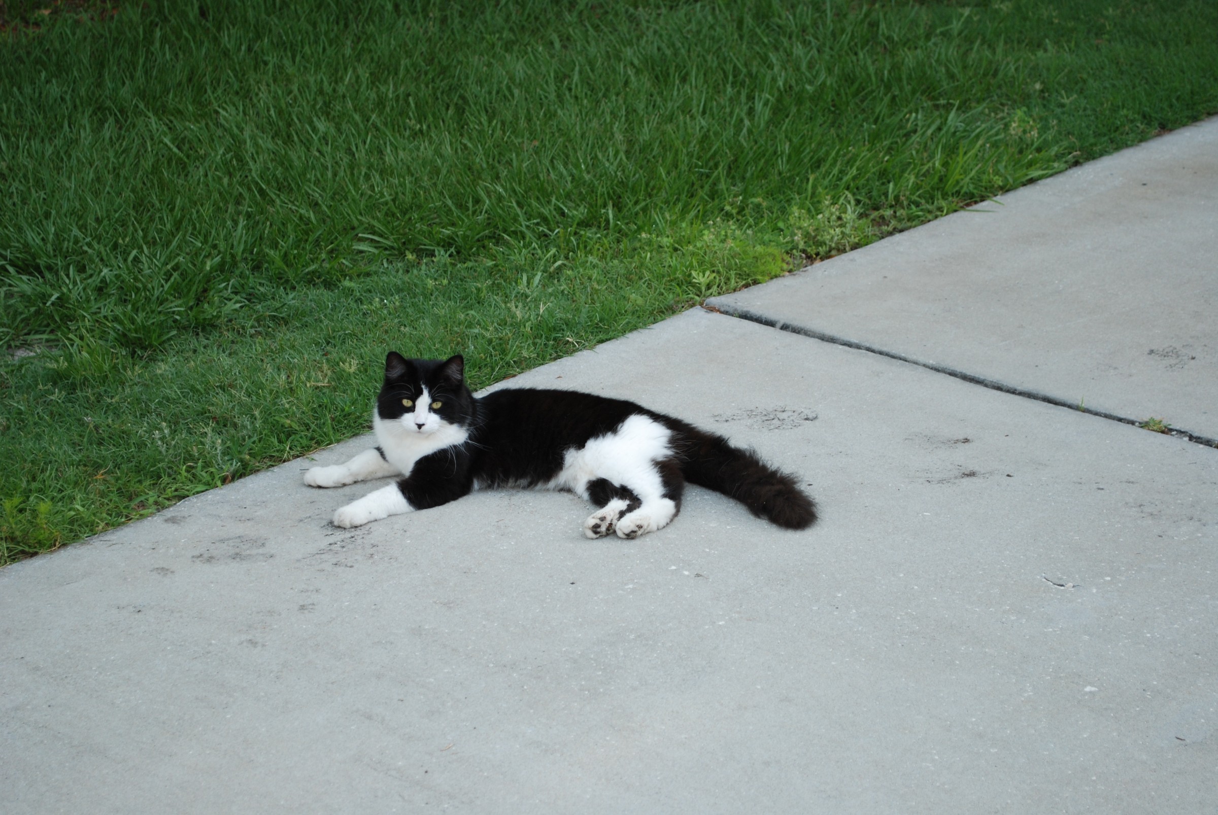 DSC_0063.JPG