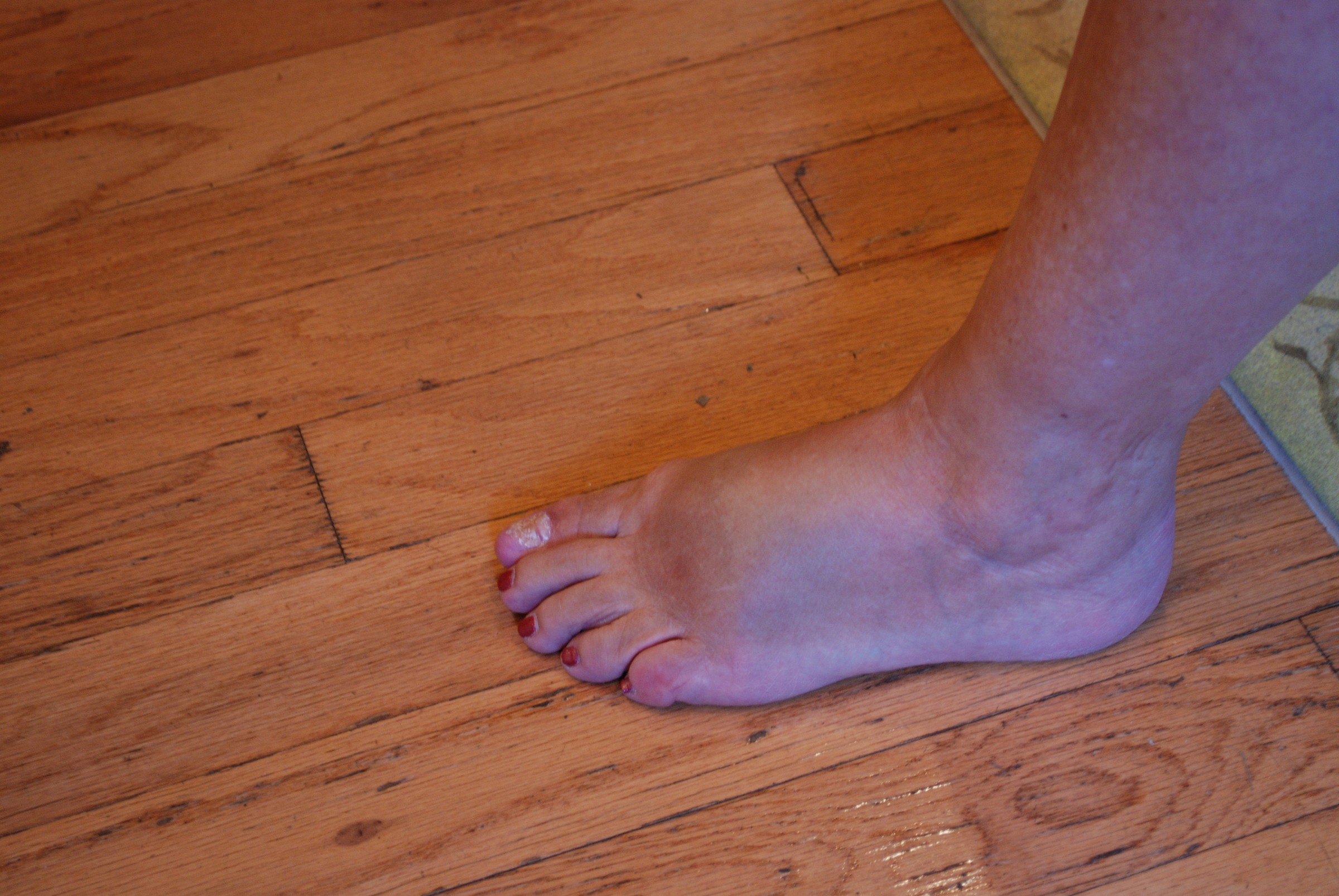 DSC_0160.JPG