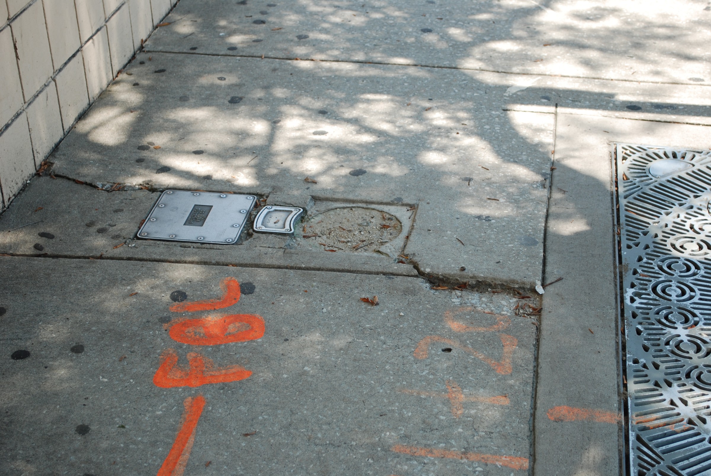 DSC_0194.JPG