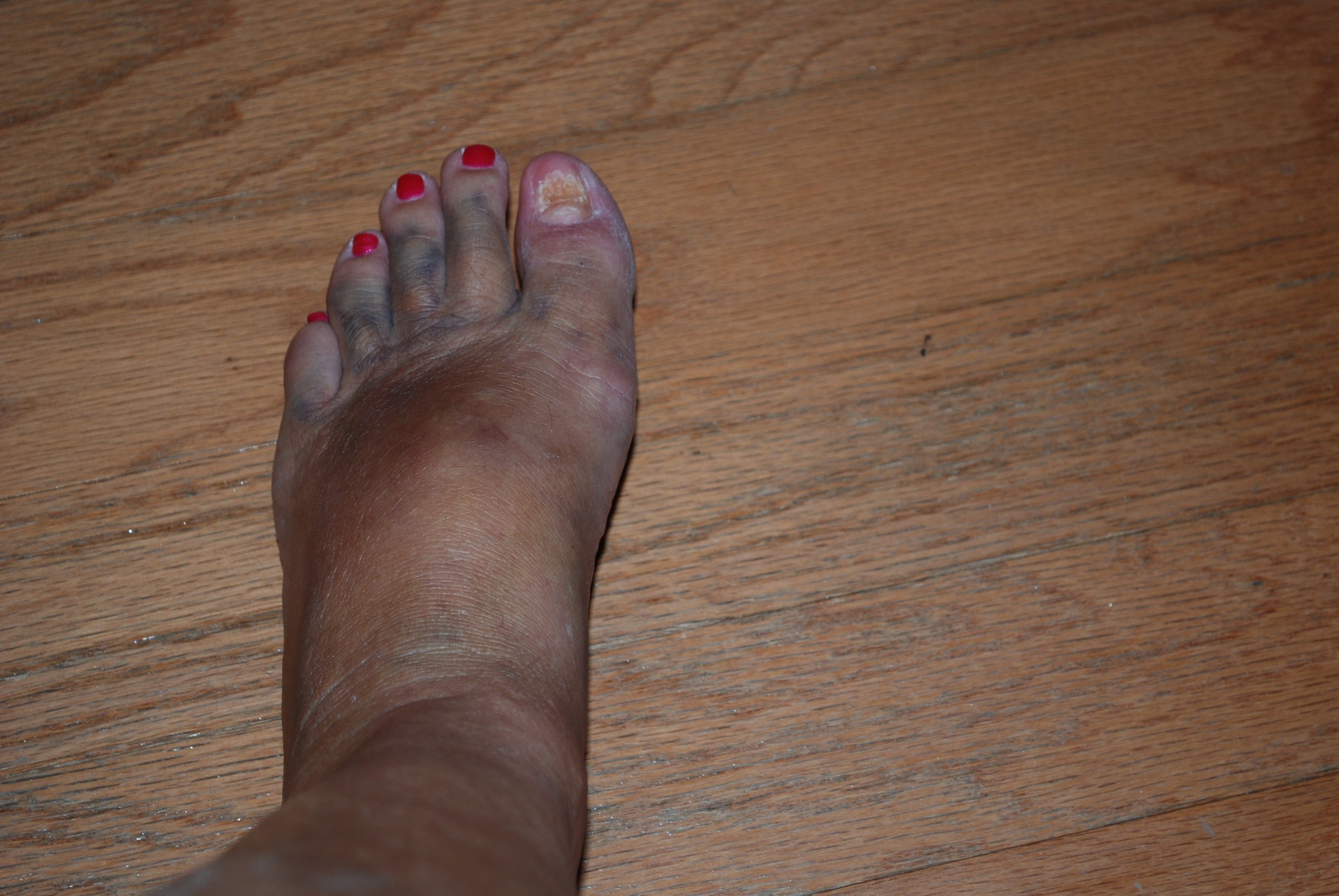 DSC_0202.JPG