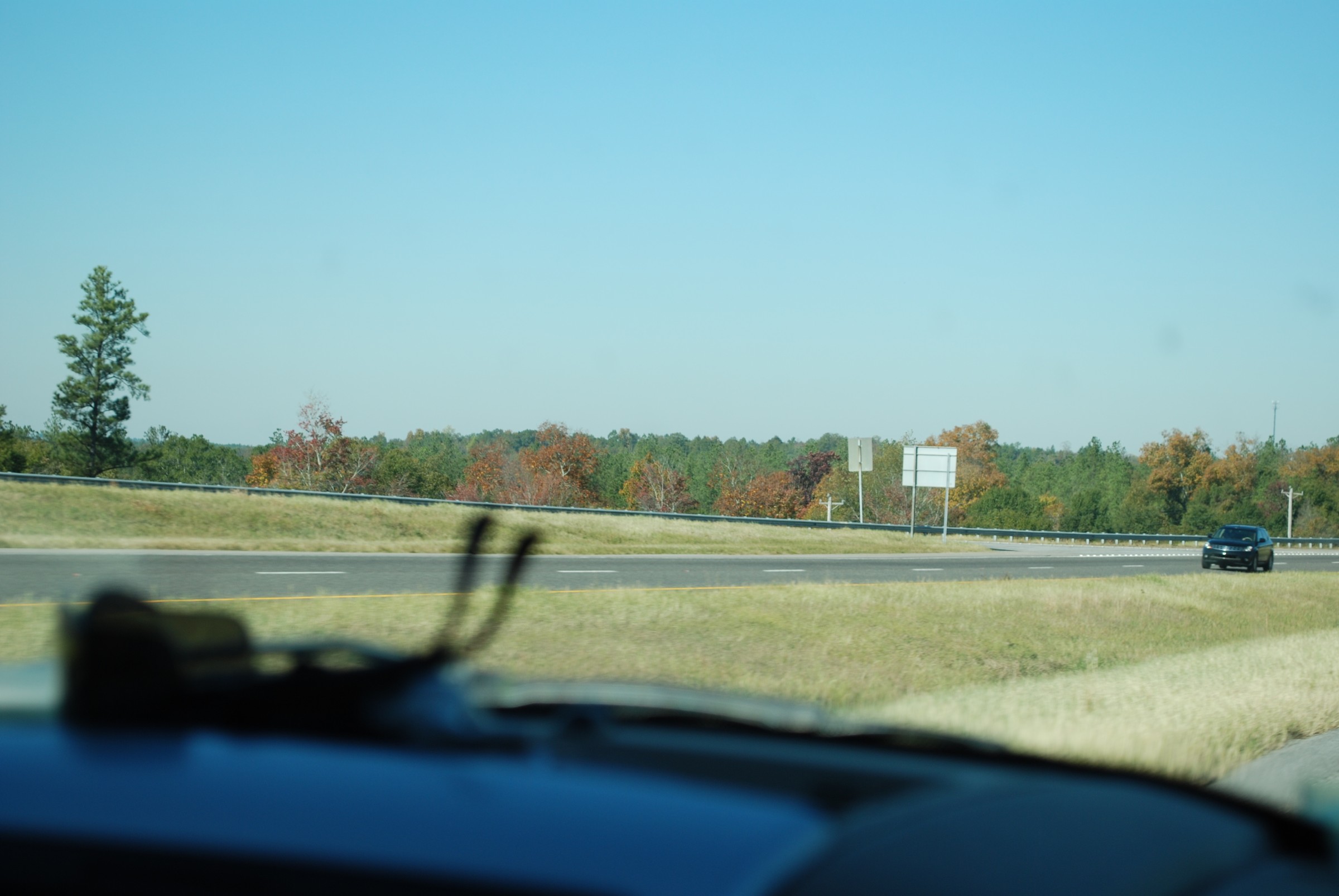 DSC_0213.JPG