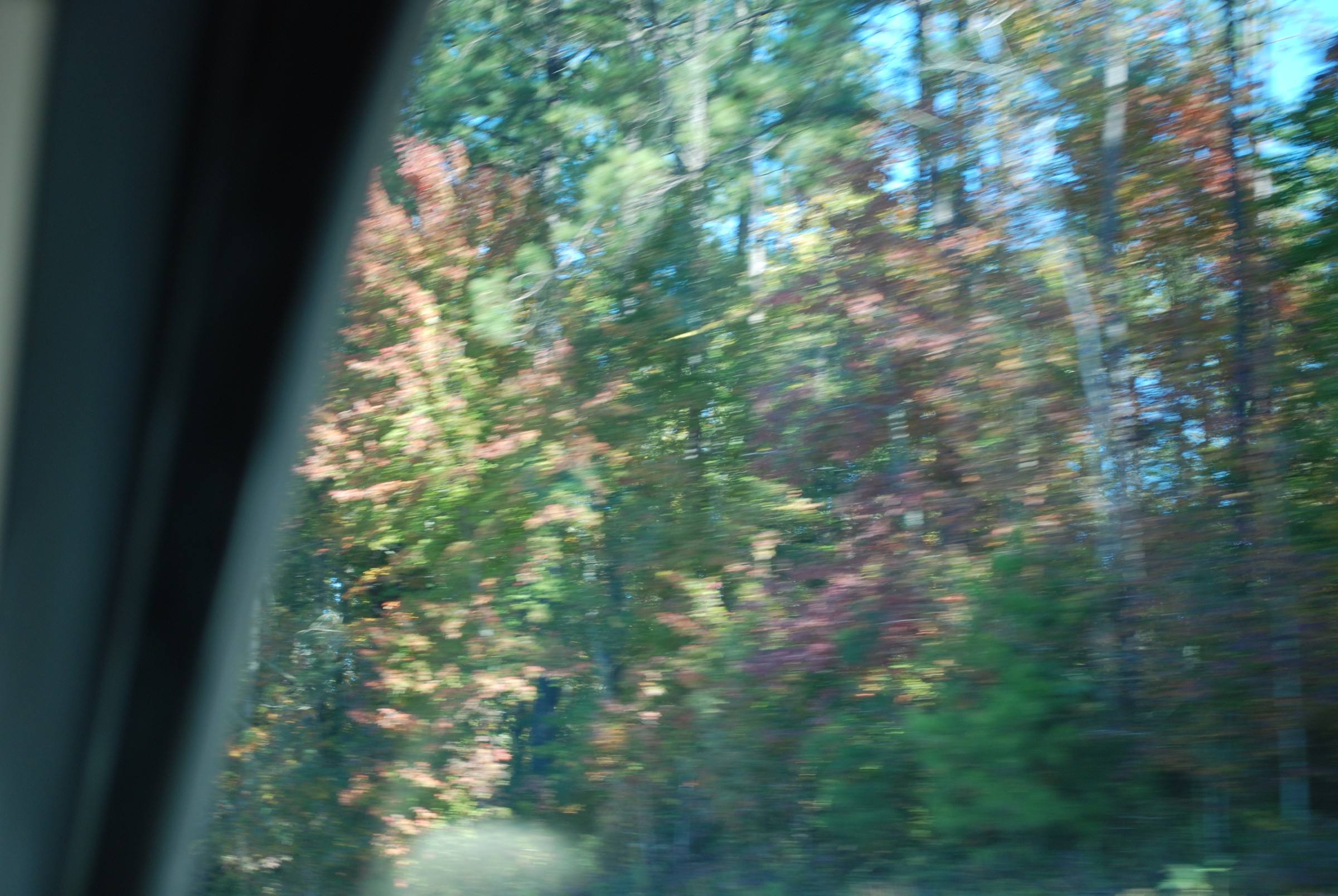 DSC_0217.JPG