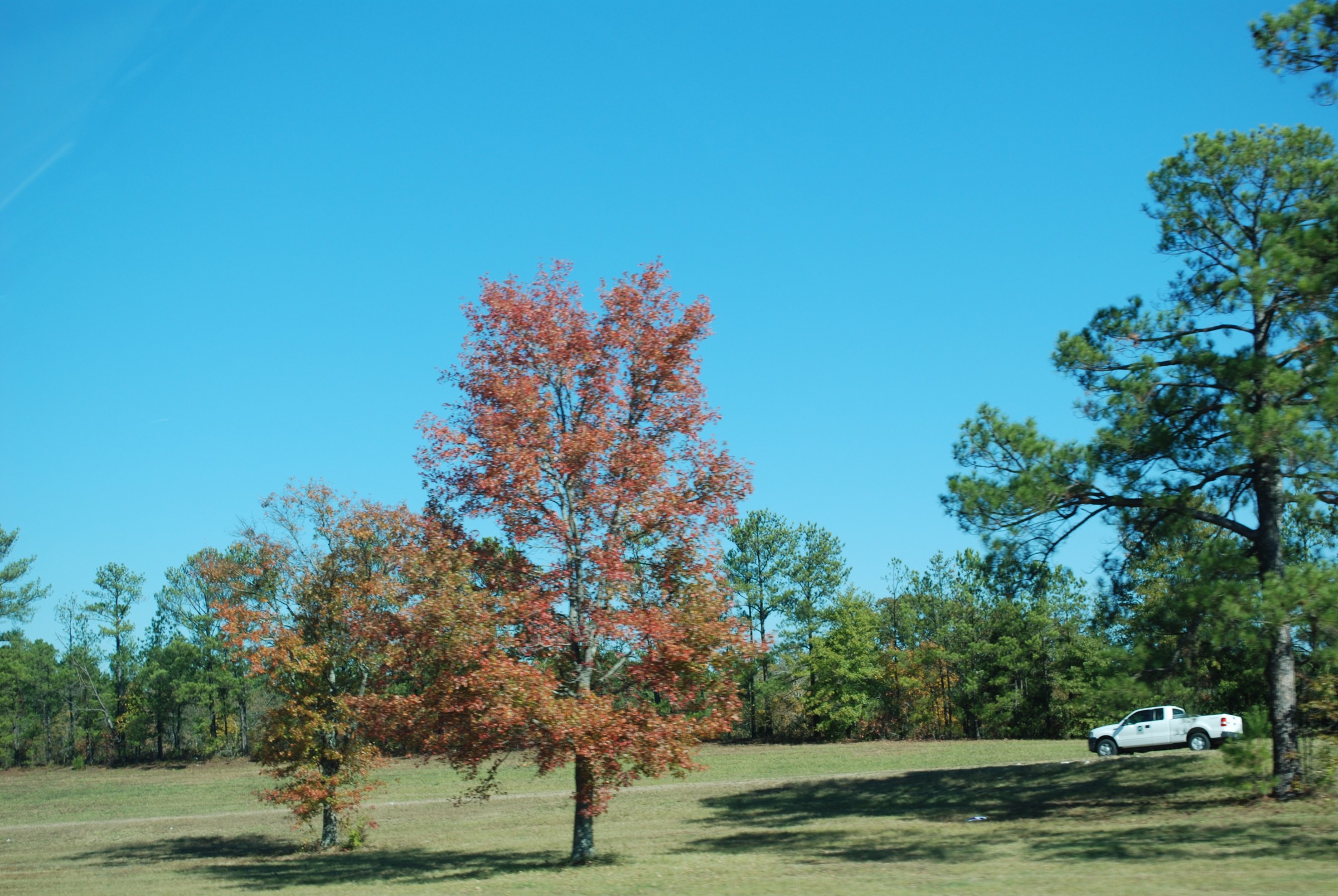 DSC_0219.JPG
