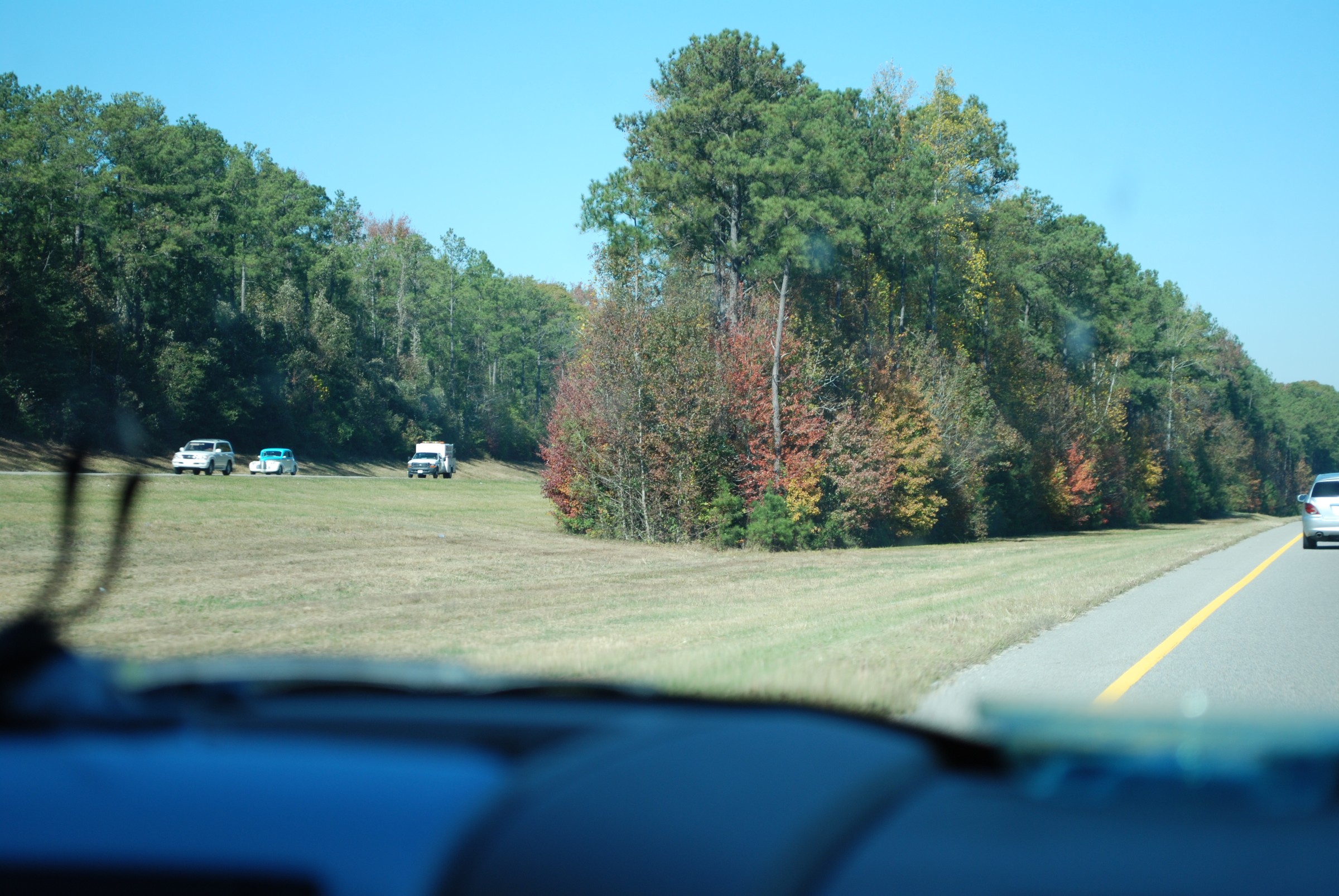 DSC_0222.JPG