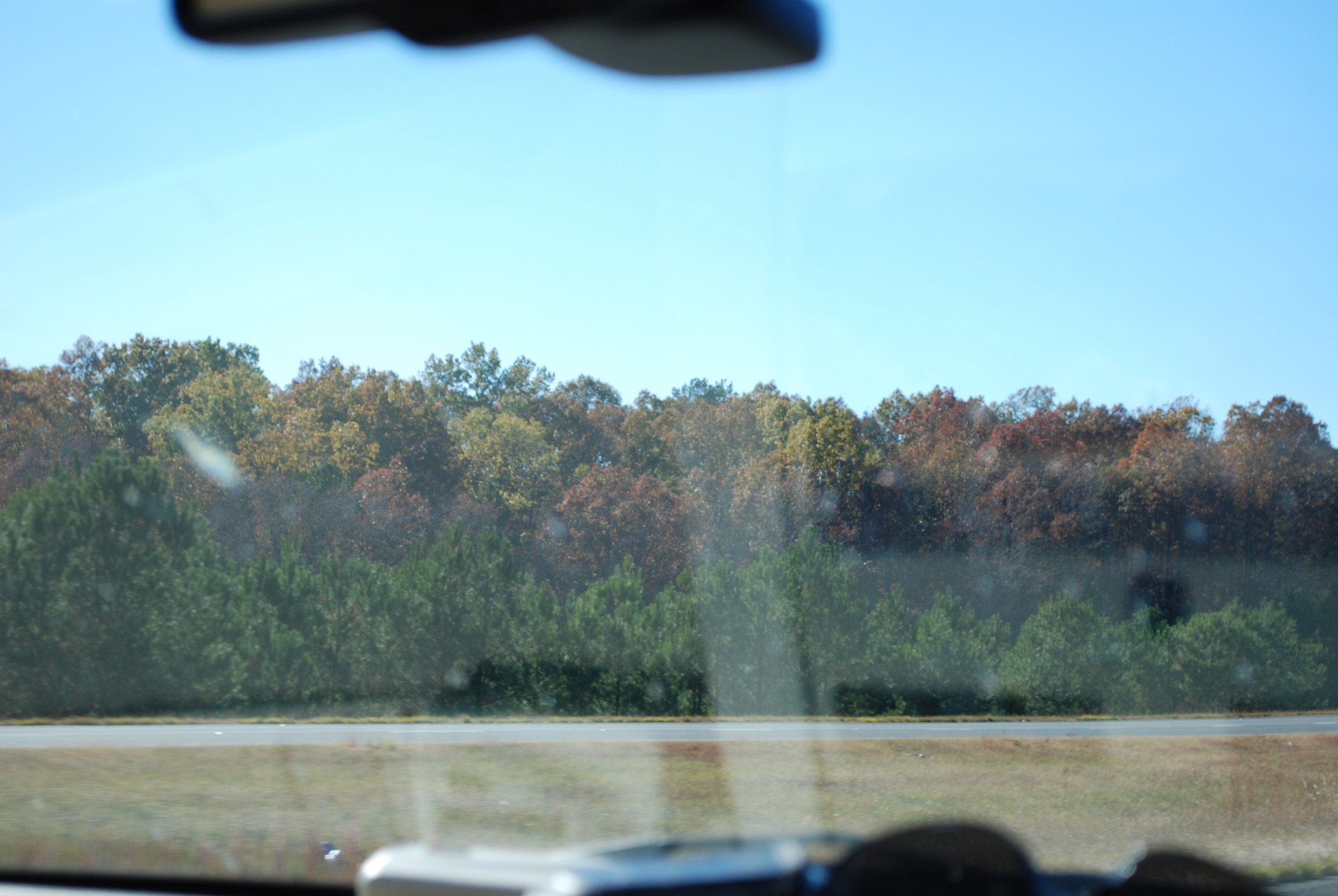 DSC_0228.JPG