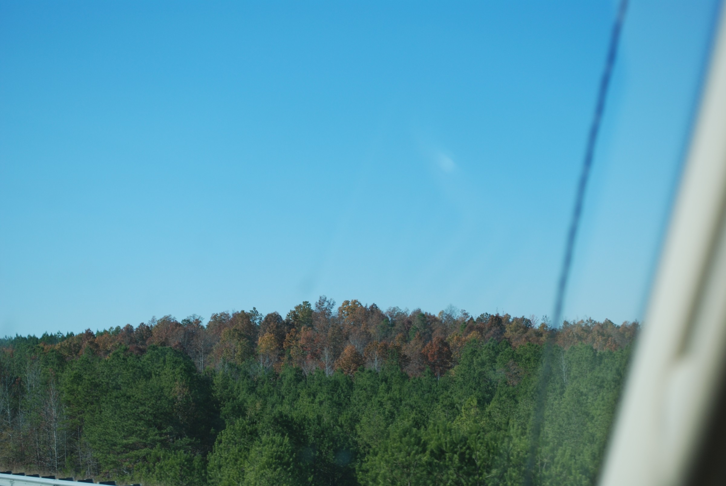 DSC_0230.JPG