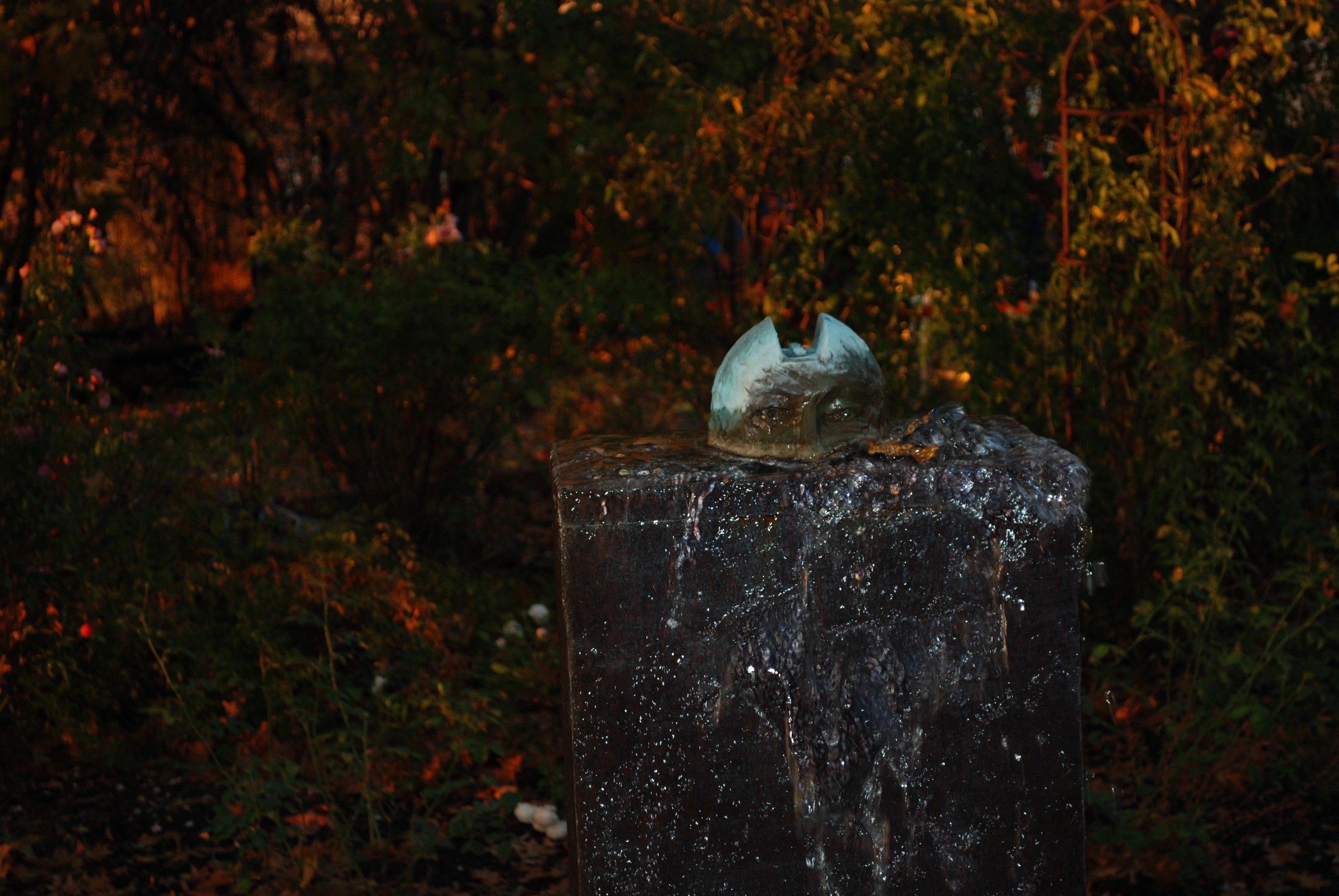 DSC_0248.JPG
