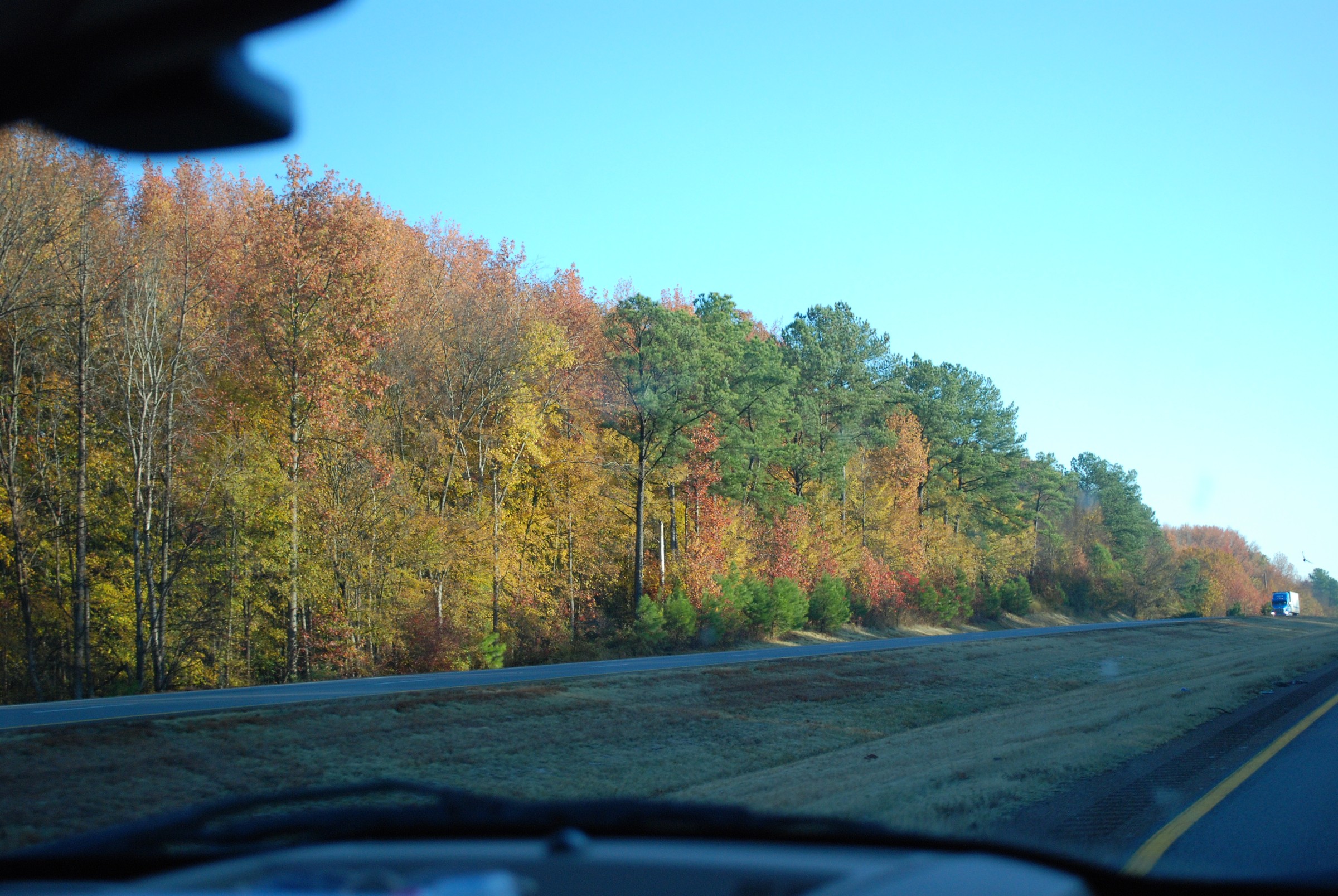 DSC_0263.JPG