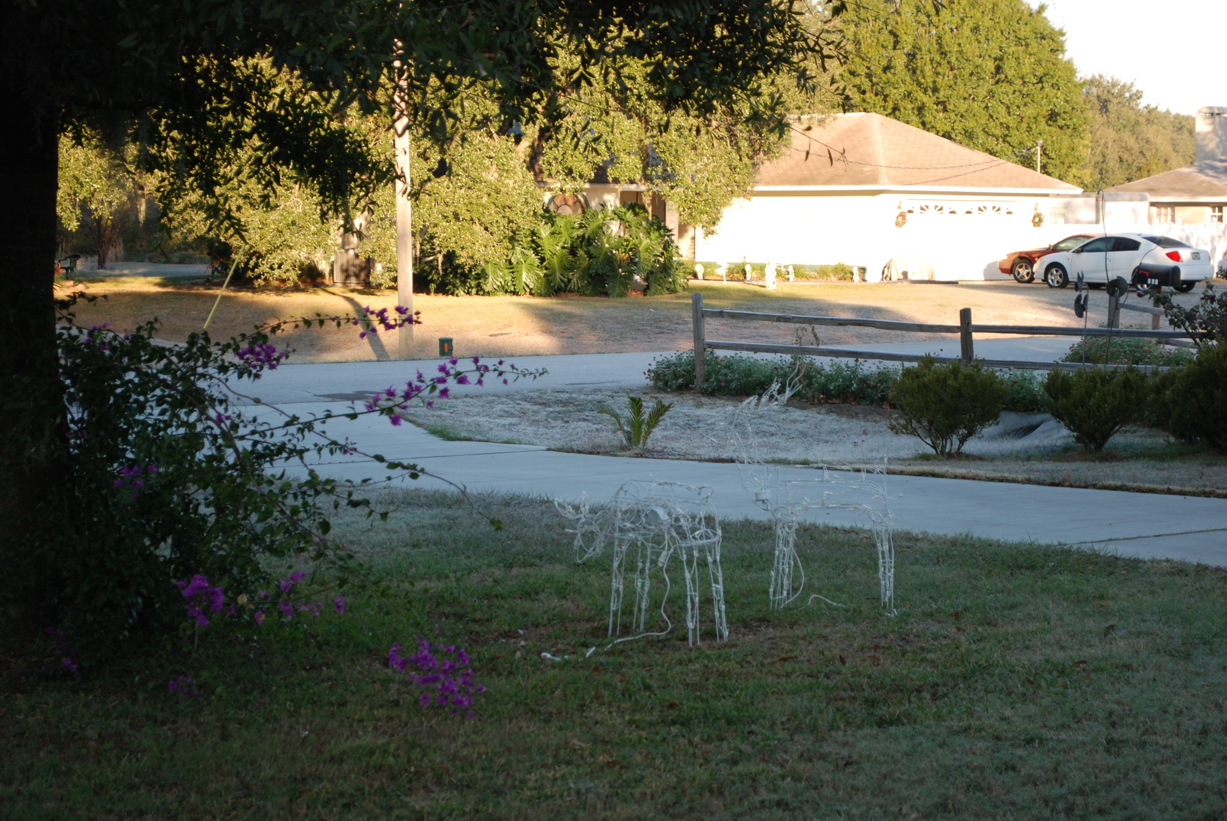 DSC_0284.JPG