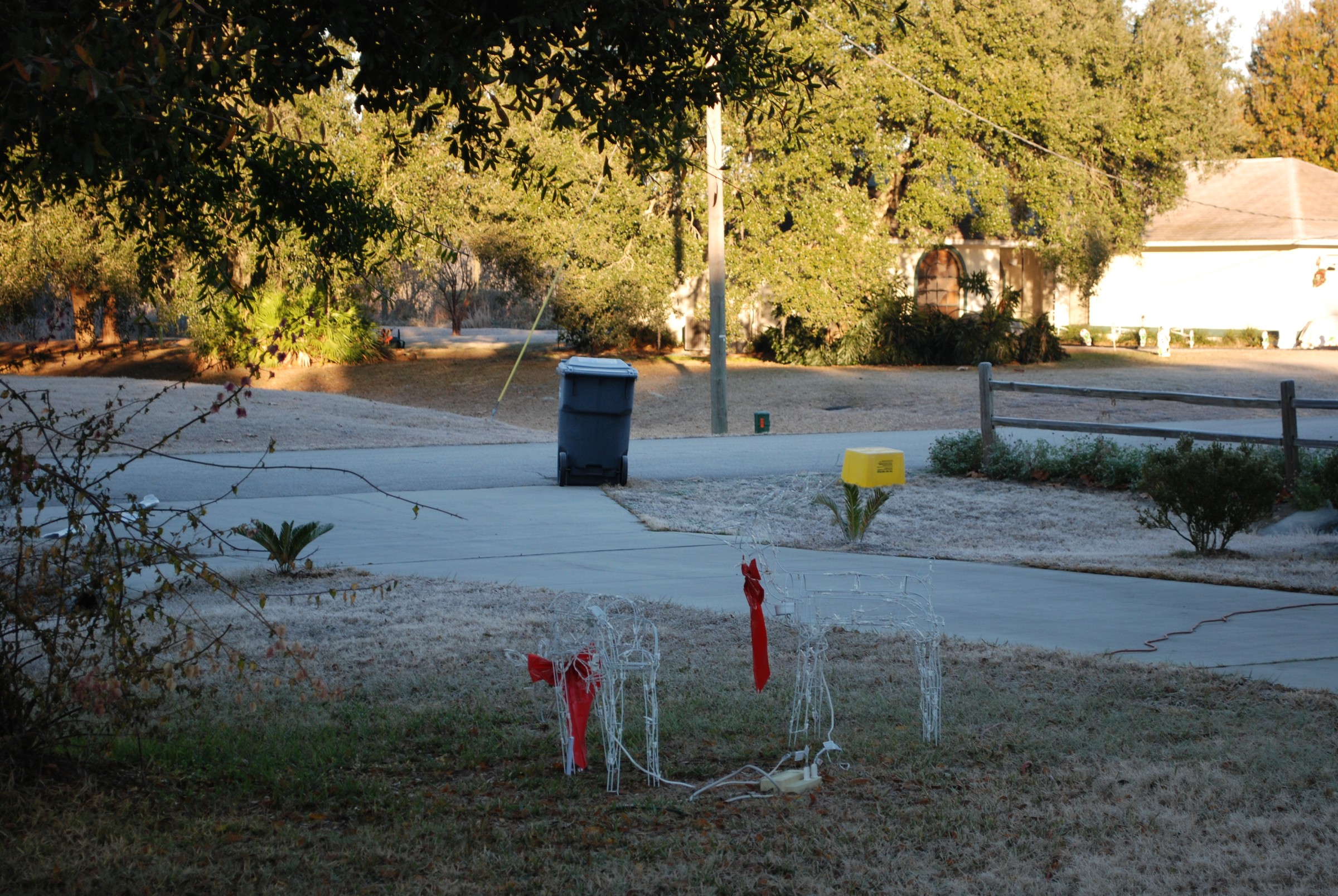 DSC_0341.JPG