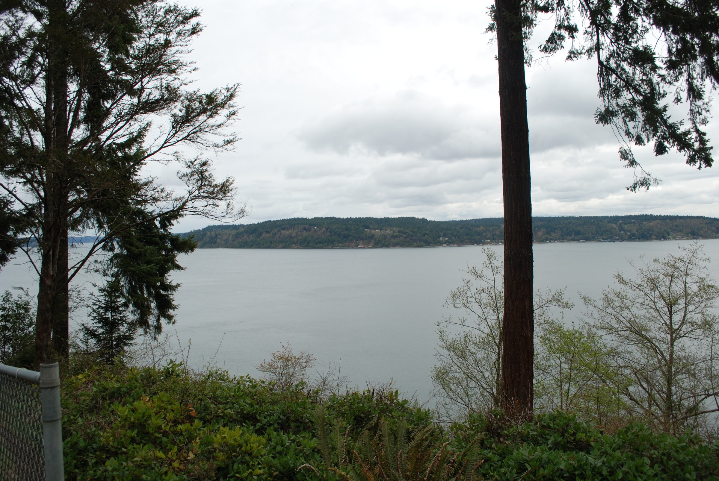 DSC_0459.JPG
