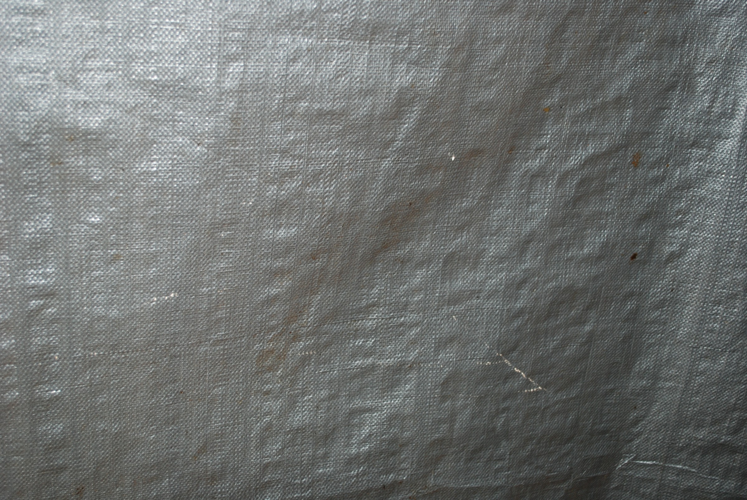 DSC_0653.JPG