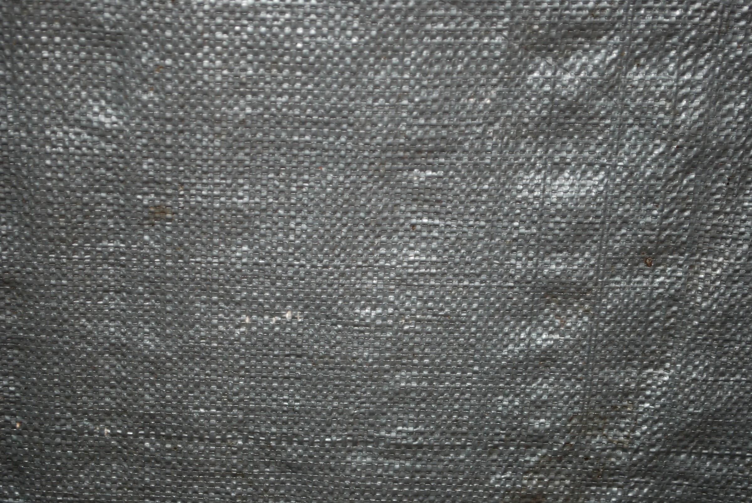DSC_0655.JPG