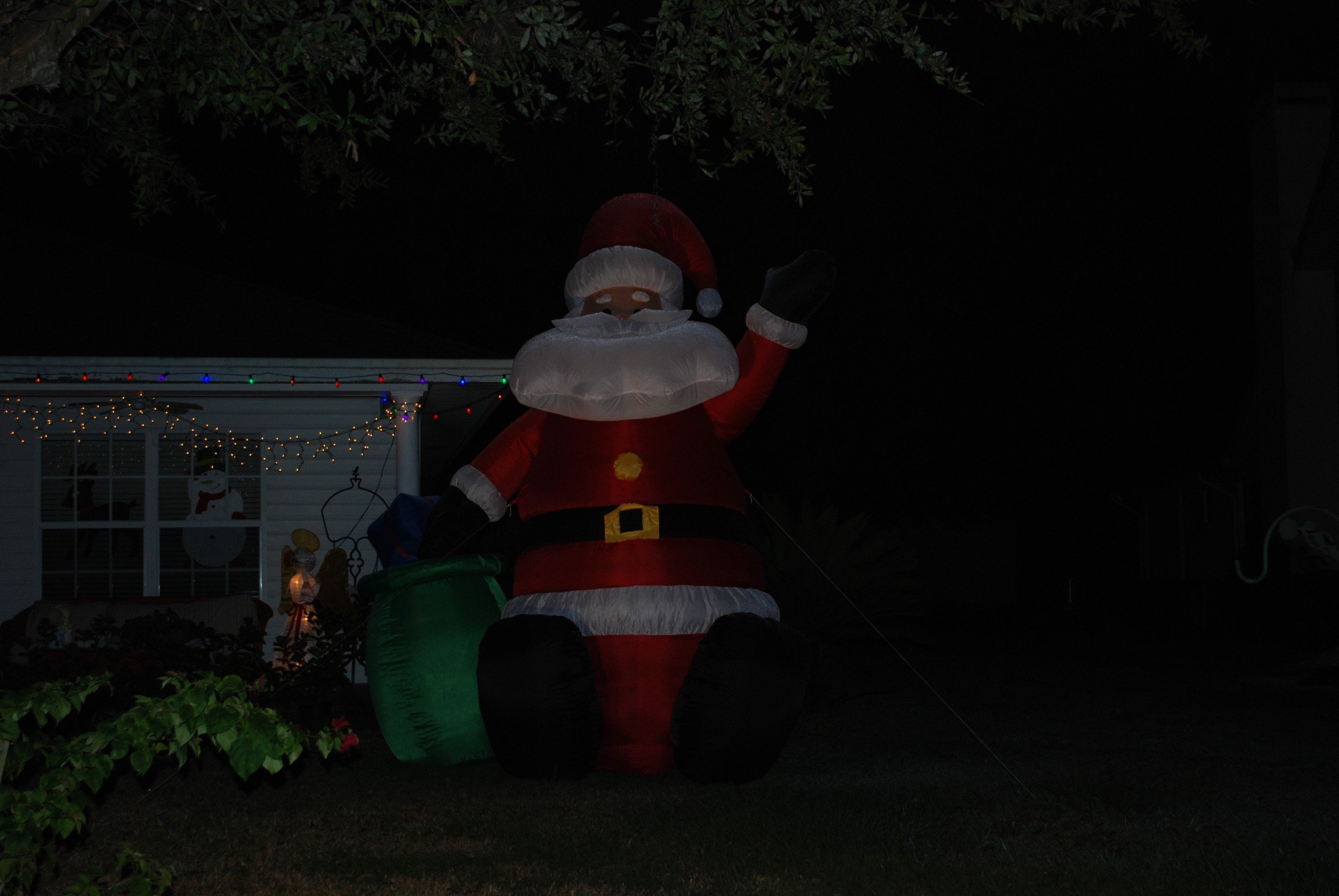 DSC_0721.JPG