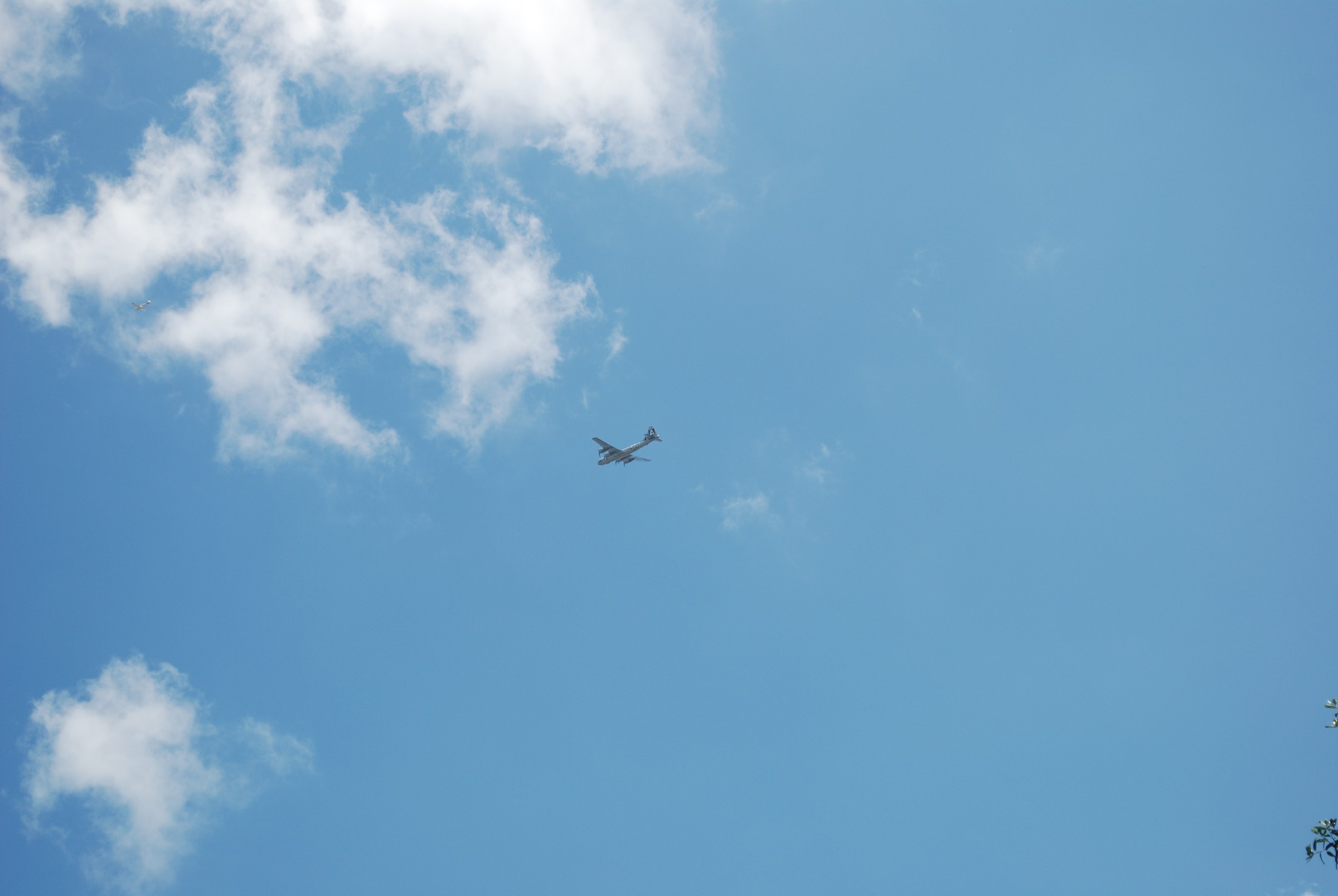 DSC_0753.JPG