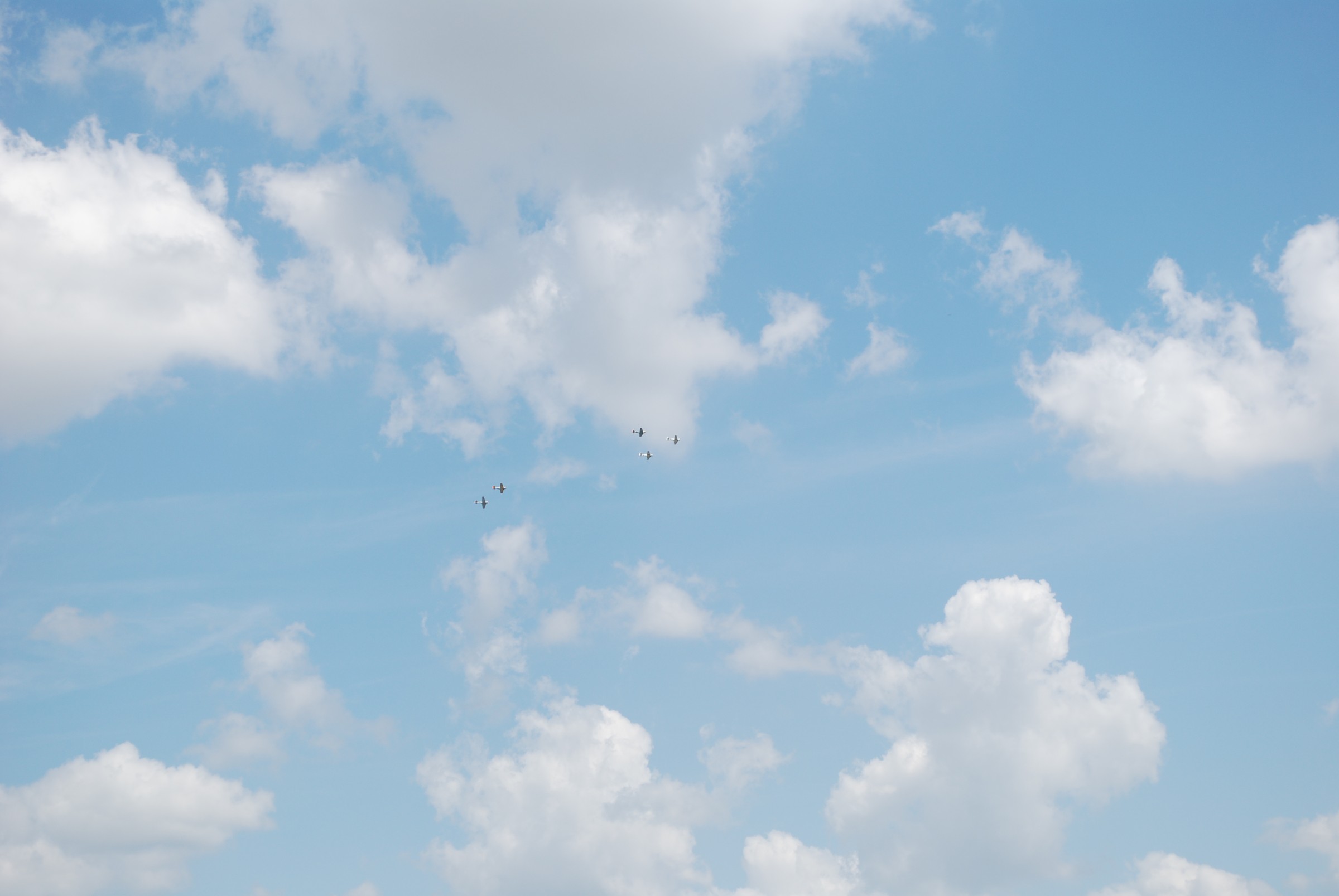 DSC_0755.JPG