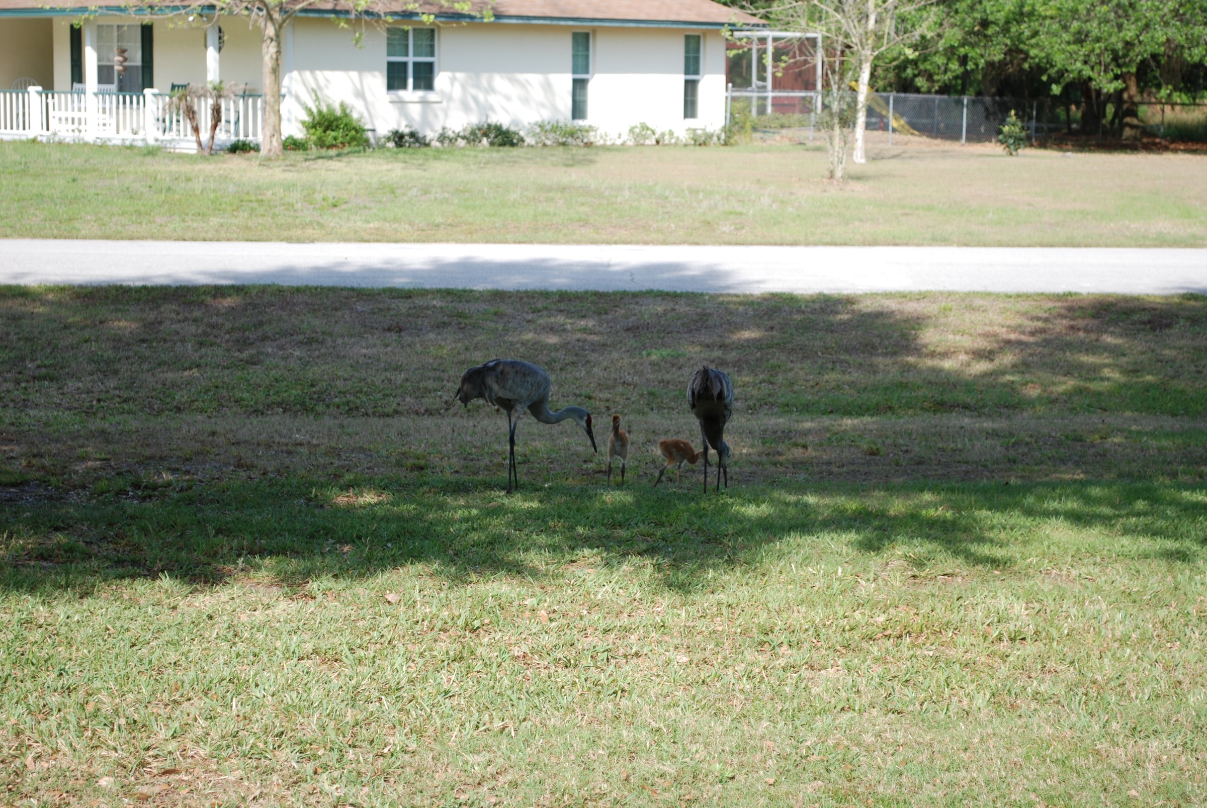 DSC_0759.JPG