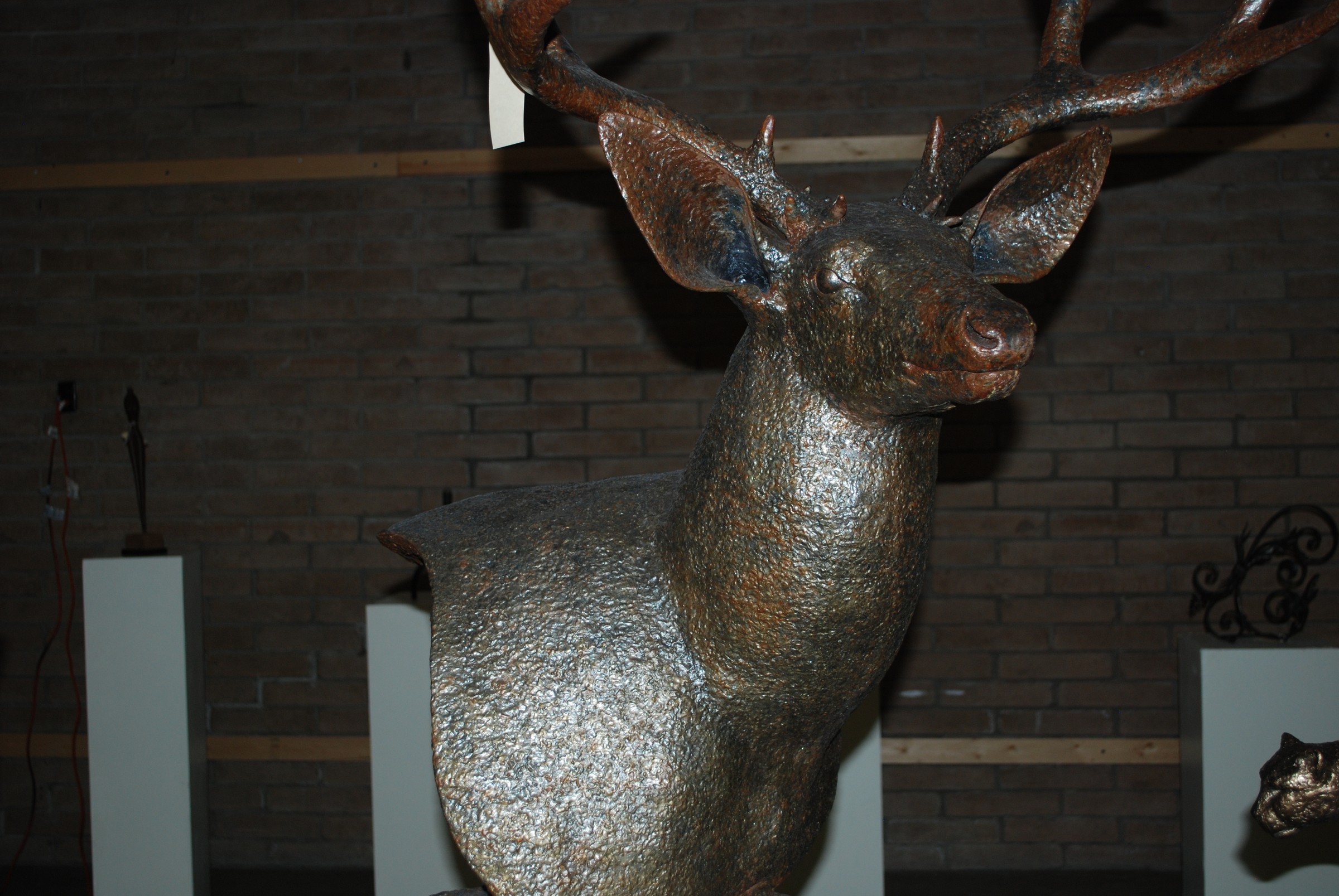 DSC_0795.JPG