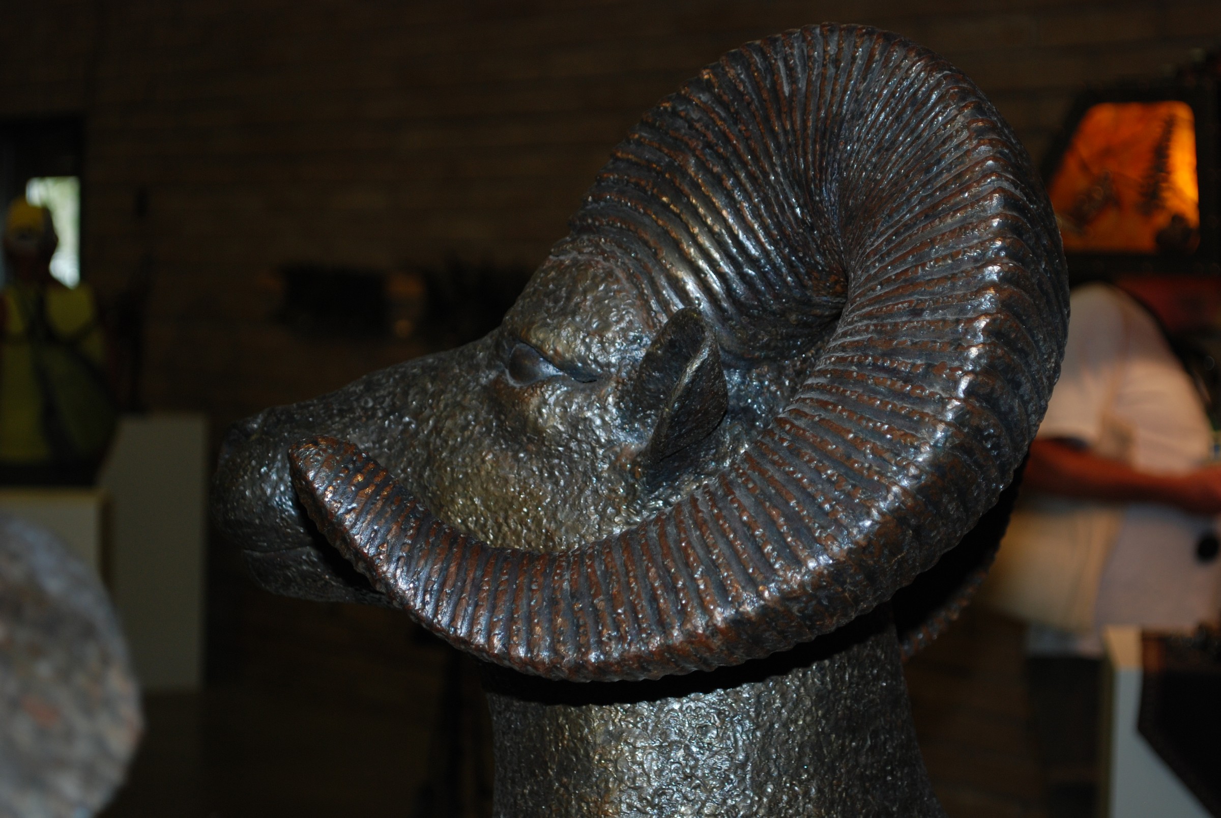 DSC_0848.JPG