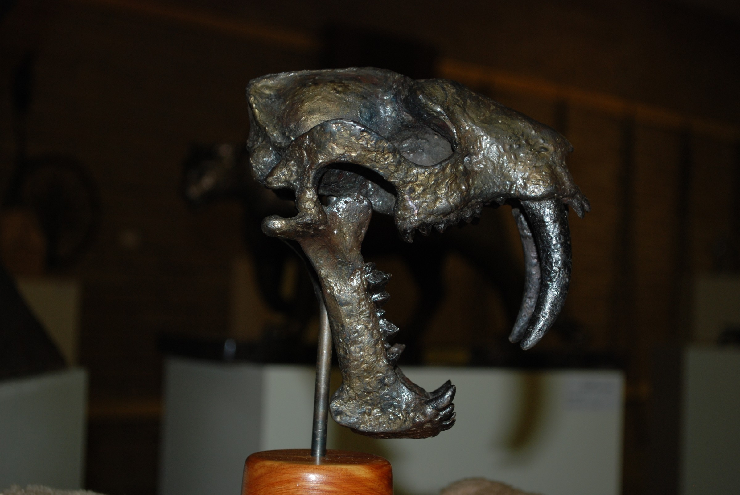 DSC_0854.JPG